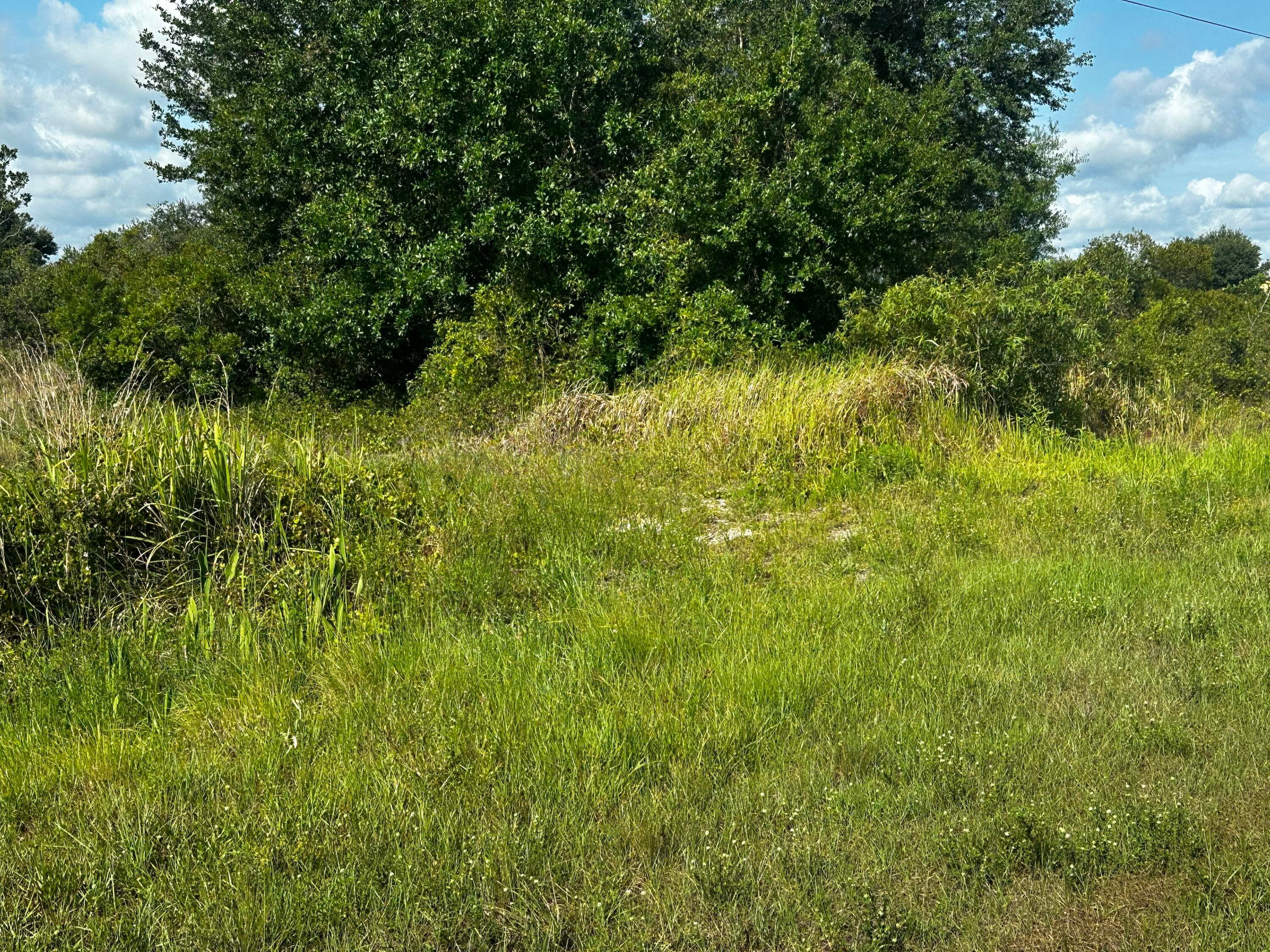 15138 NW 262nd Street, Okeechobee, FL 34972 — photo