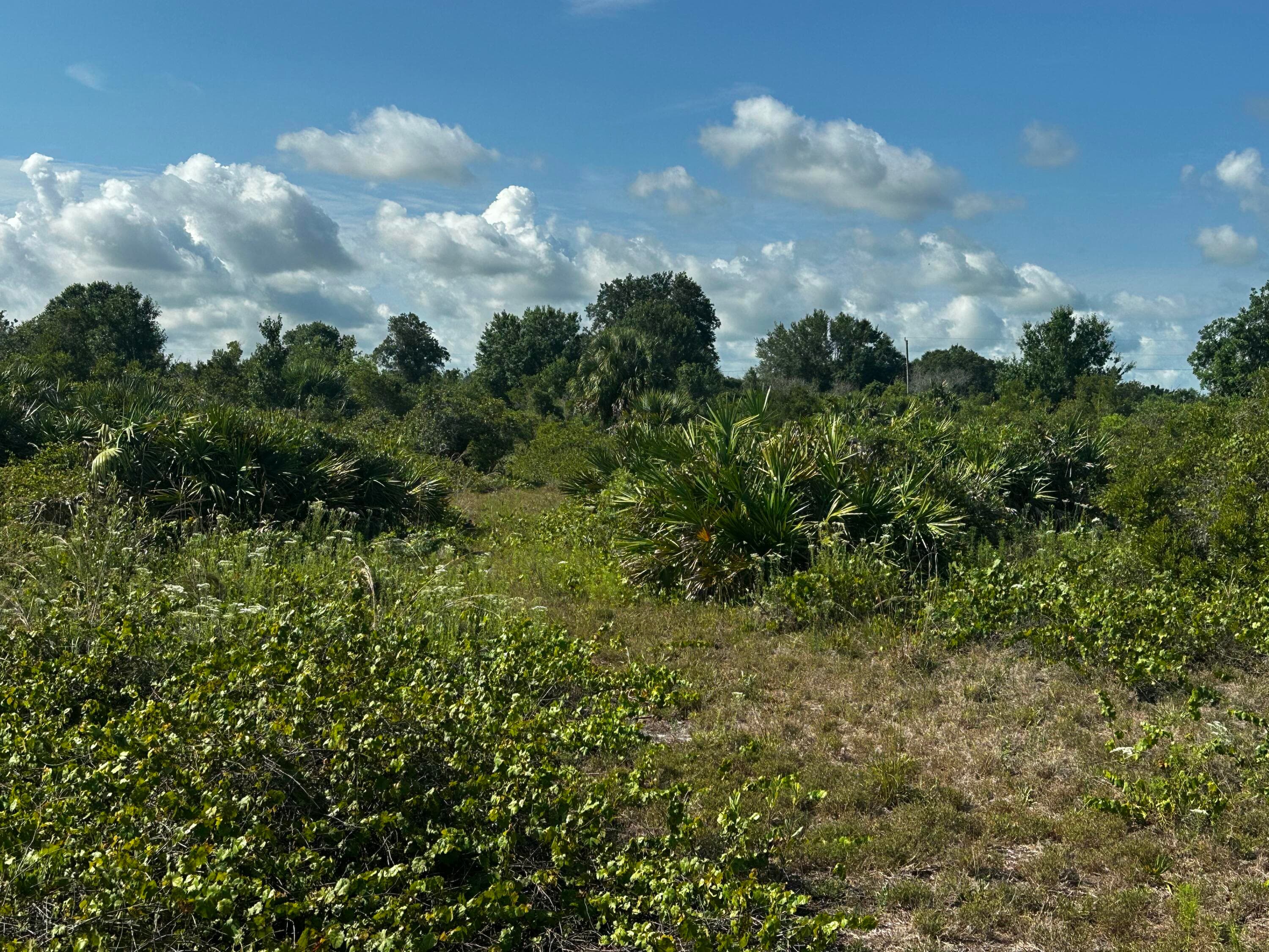 15138 NW 262nd Street, Okeechobee, FL 34972 — photo 5 of 9