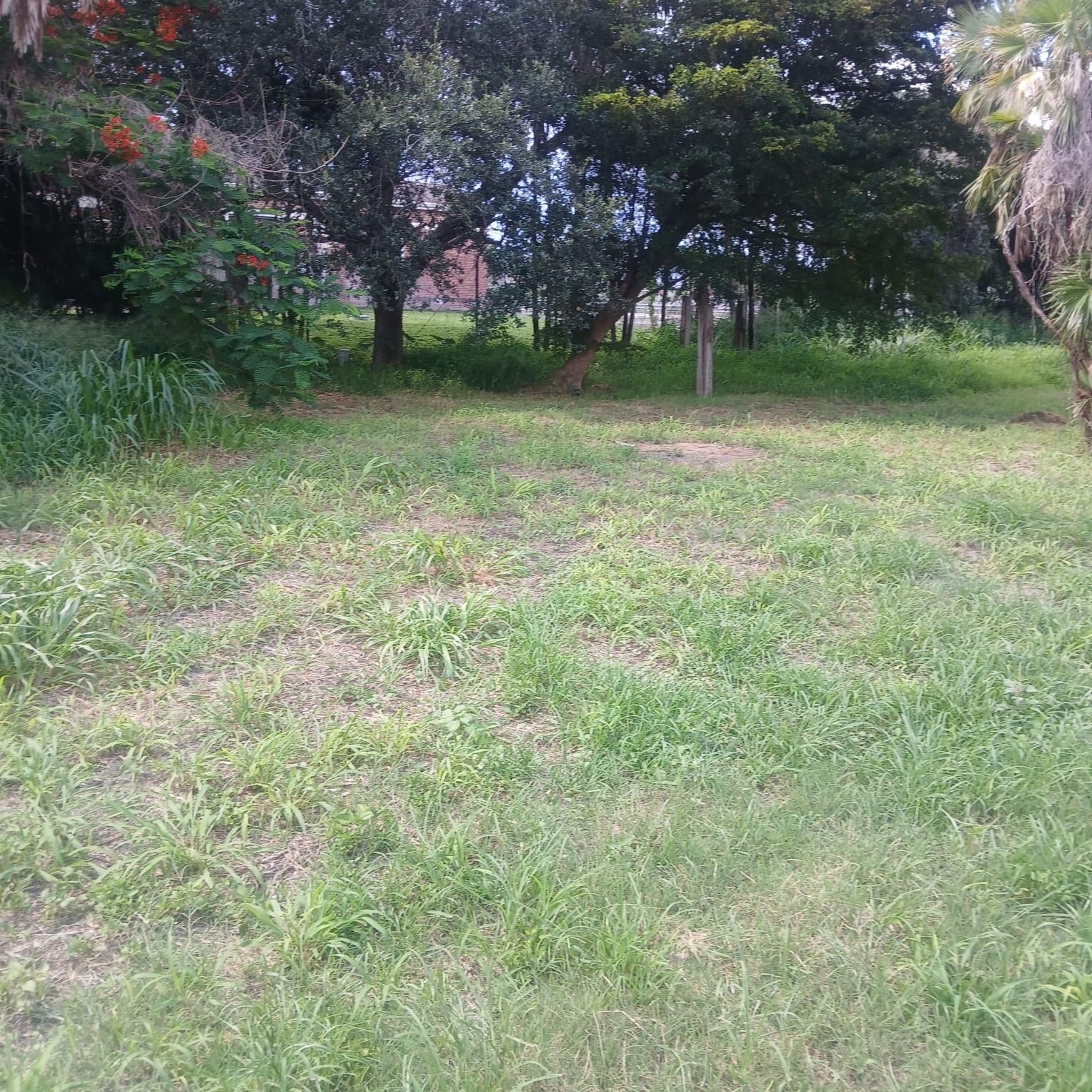. SW Conners Highway W, Canal Point, FL 33438 — photo 2 of 2