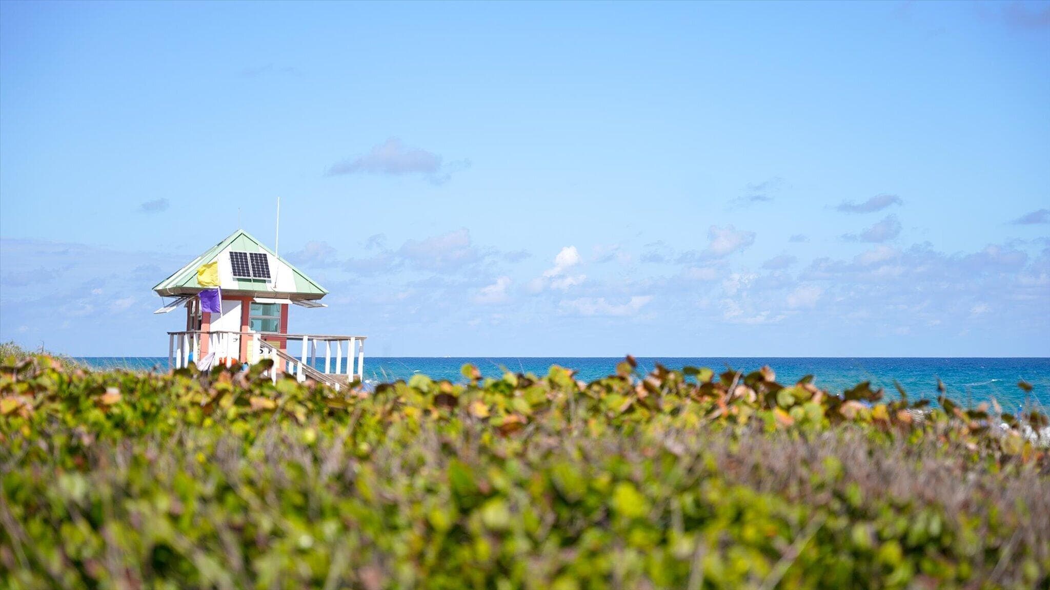 1002 Lake Shore Drive, Delray Beach, FL 33444 — photo 88 of 89