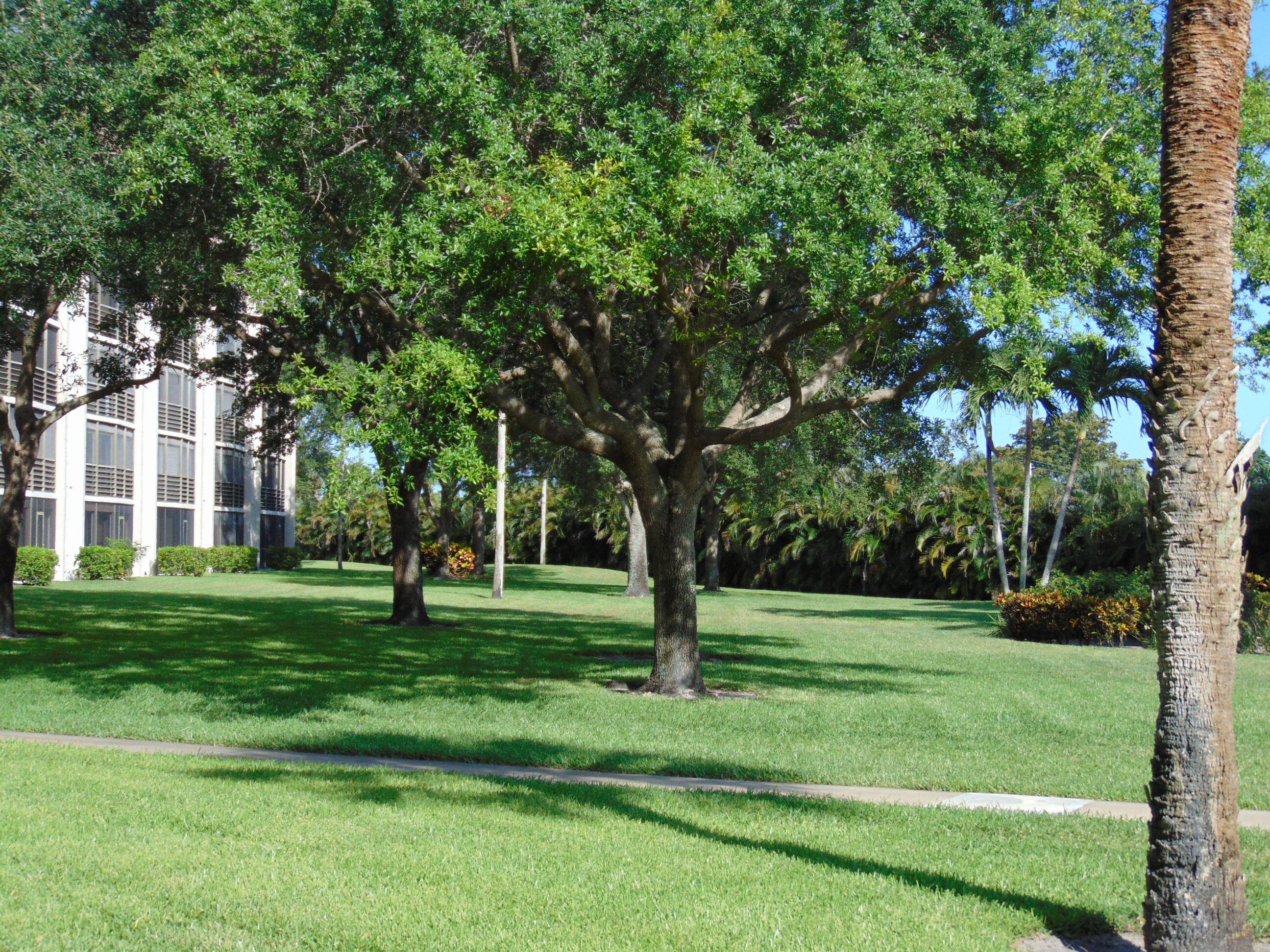 9220 SW 14th Street 3103, Boca Raton, FL 33428 — photo 30 of 55