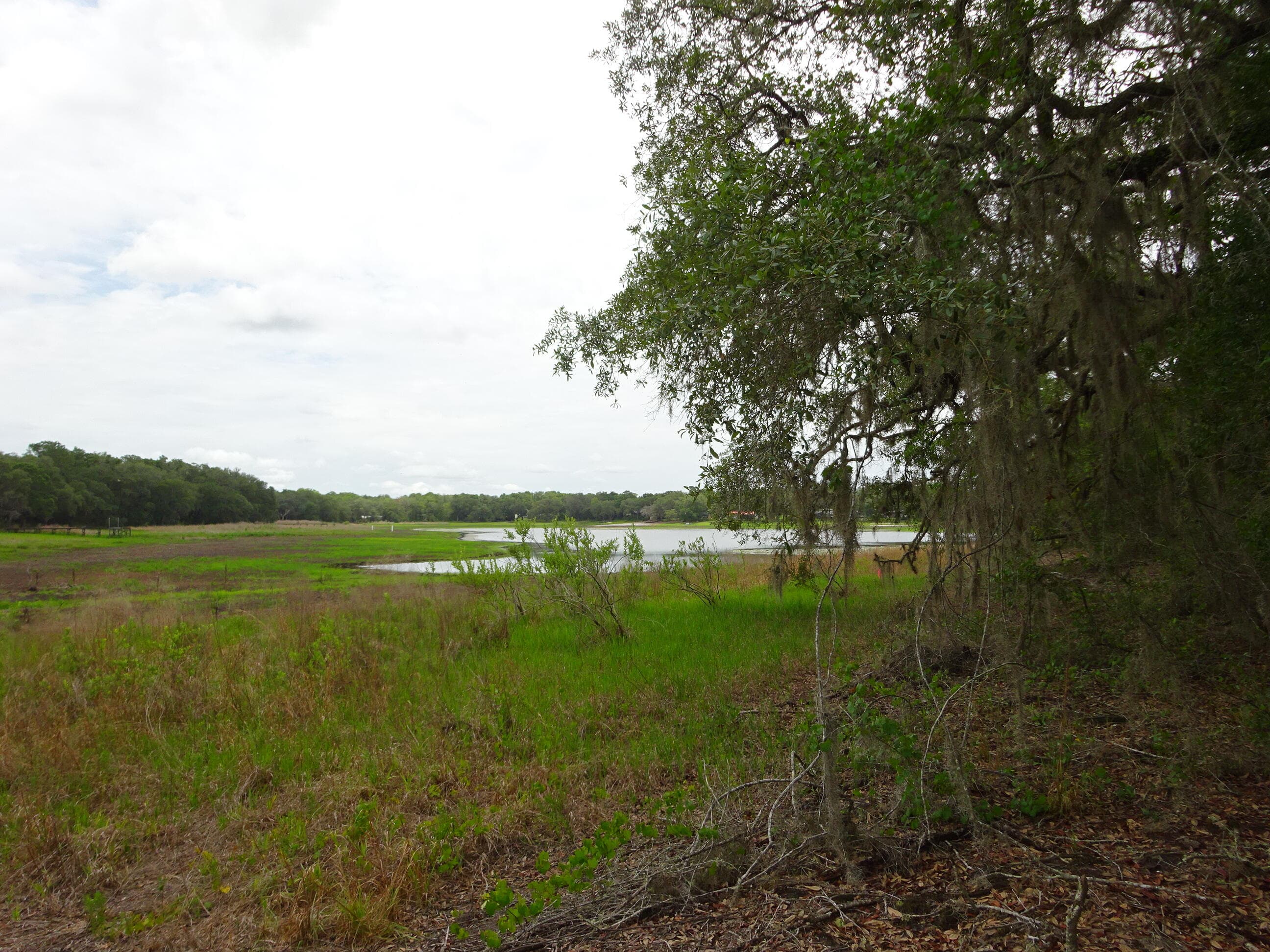 0000 SW Shorewood Drive, Dunnellon, FL — photo 9 of 19