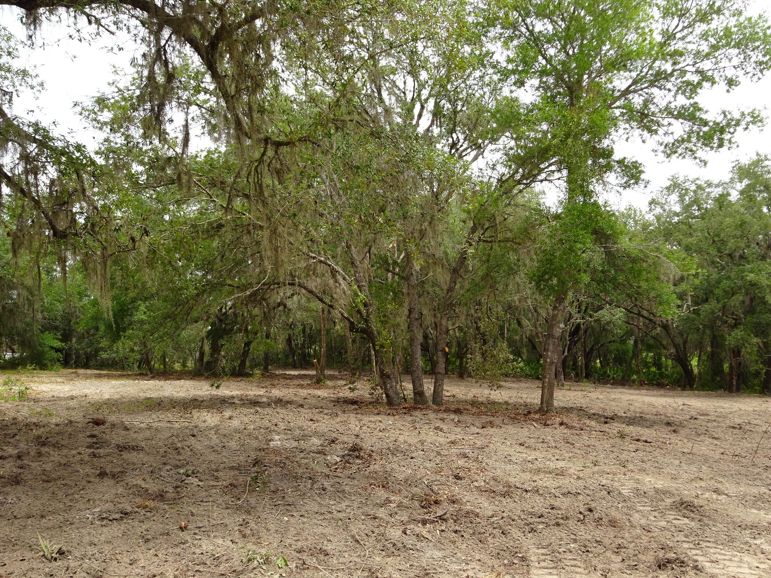 0000 SW Shorewood Drive, Dunnellon, FL — photo 12 of 19