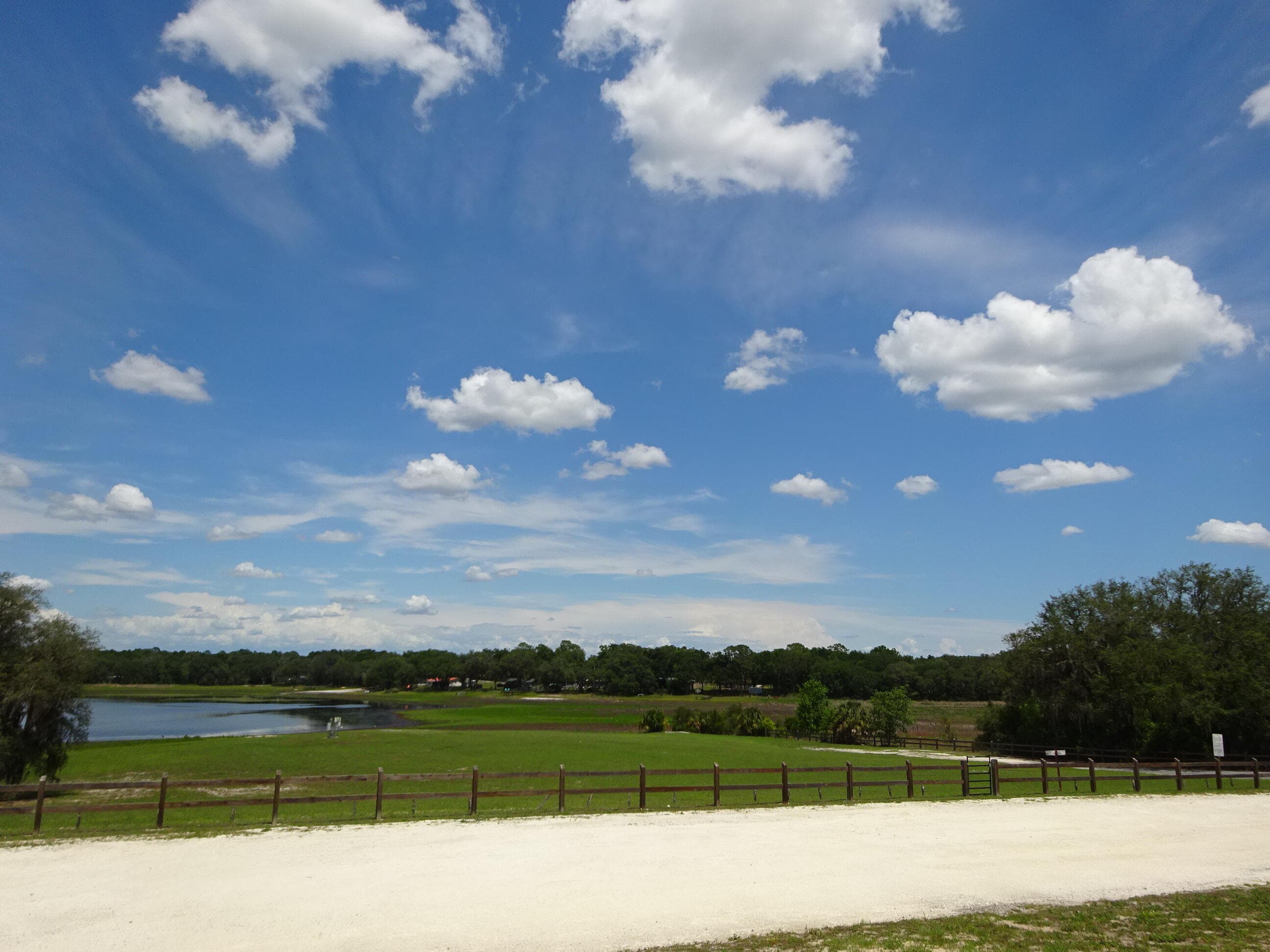 Lots 449,450,451,452,453 SW Shorewood Drive SW, Dunnellon, FL 34431 — photo 22 of 29