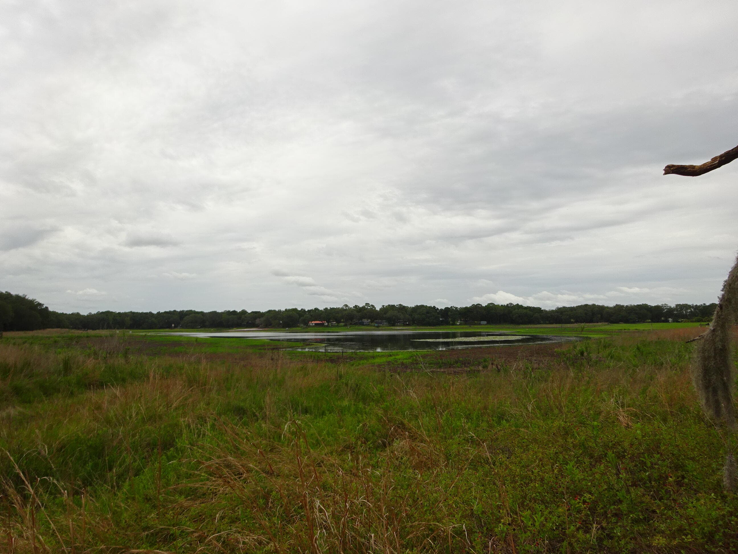 Lots 449,450,451,452,453 SW Shorewood Drive SW, Dunnellon, FL 34431 — photo 17 of 29
