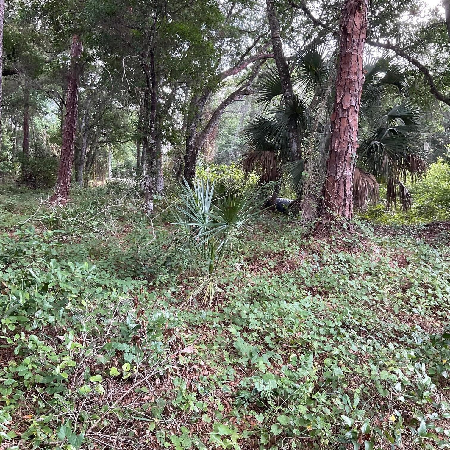 13550 NE 18th Avenue, Okeechobee, FL 34972 — photo 5 of 7
