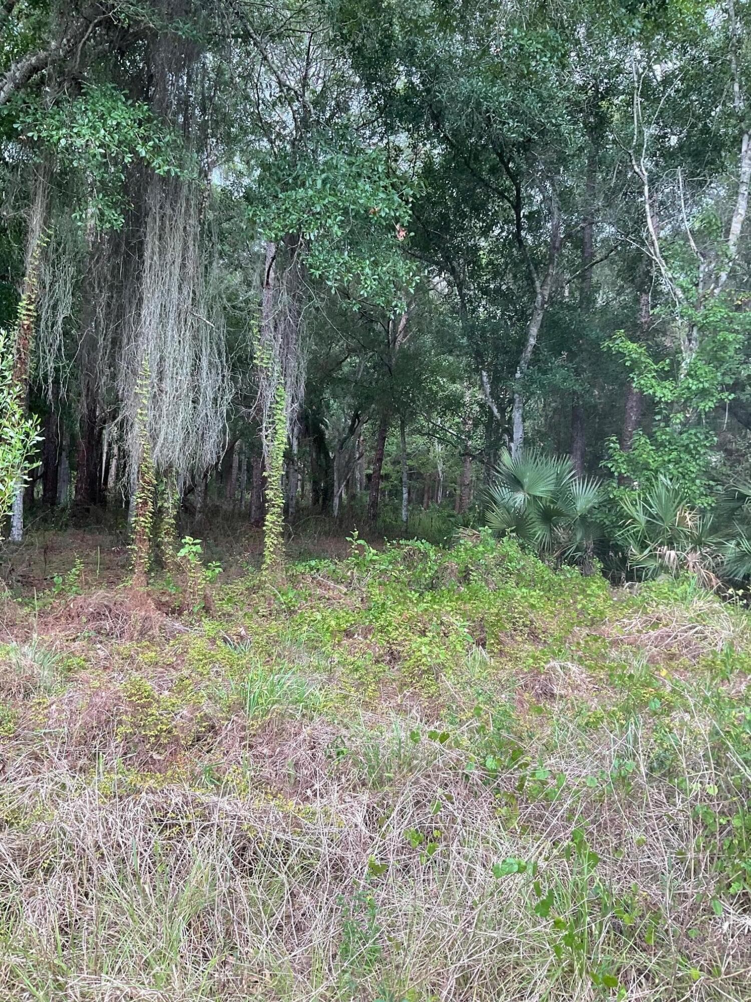 13550 NE 18th Avenue, Okeechobee, FL 34972 — photo 6 of 7