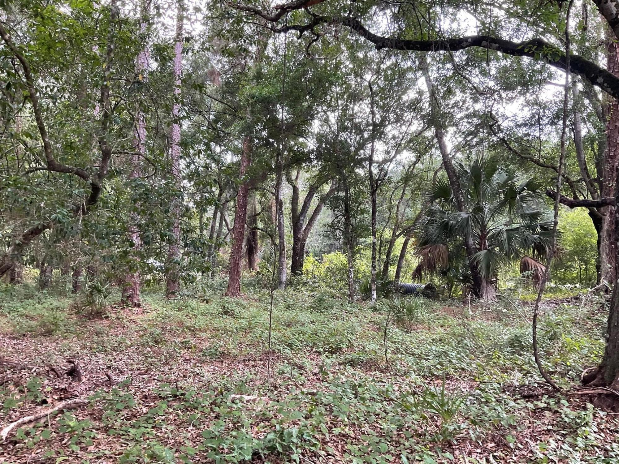13550 NE 18th Avenue, Okeechobee, FL 34972 — photo 3 of 7