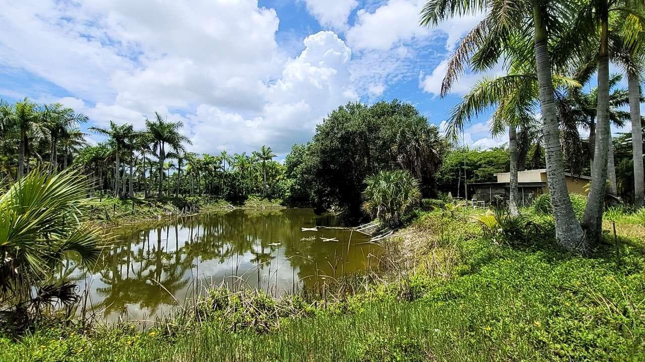 4095 Windmill Road, Loxahatchee, FL 33470 — photo 12 of 16