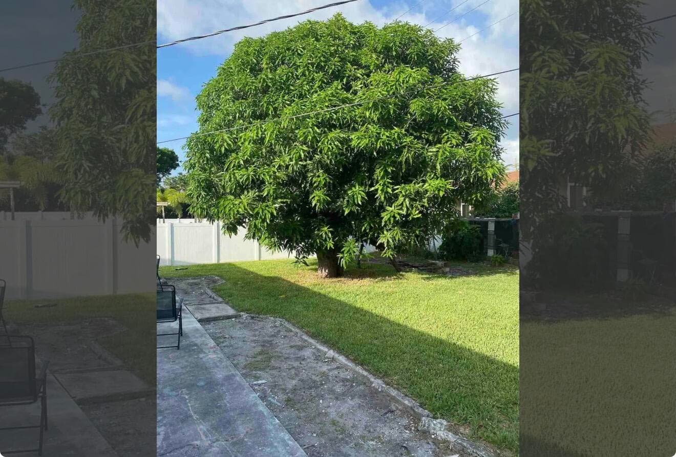2499 NE 2nd Avenue B, Boca Raton, FL 33431 — photo 12 of 12