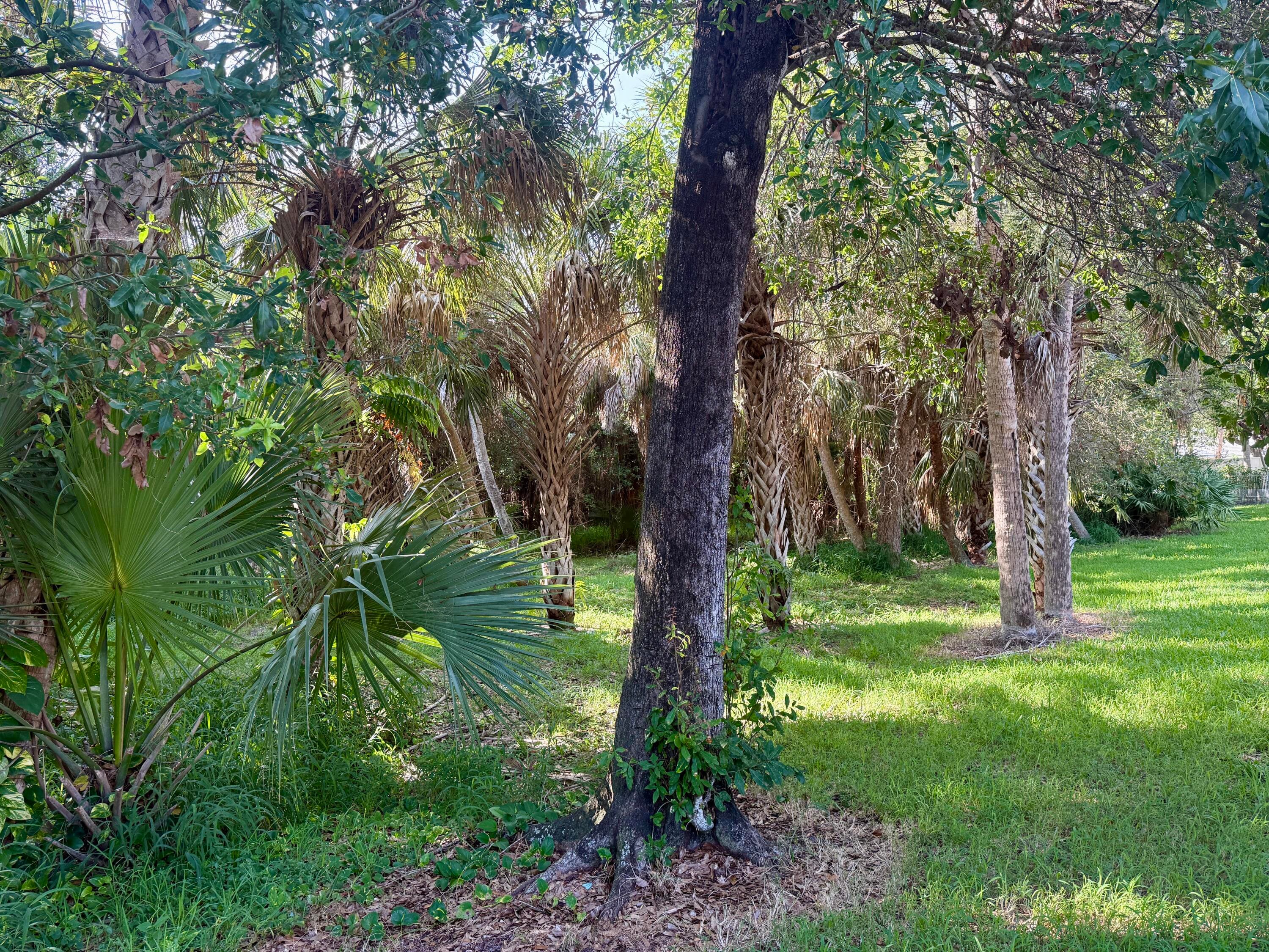 198 Hampton Circle, Jupiter, FL 33458 — photo 7 of 19
