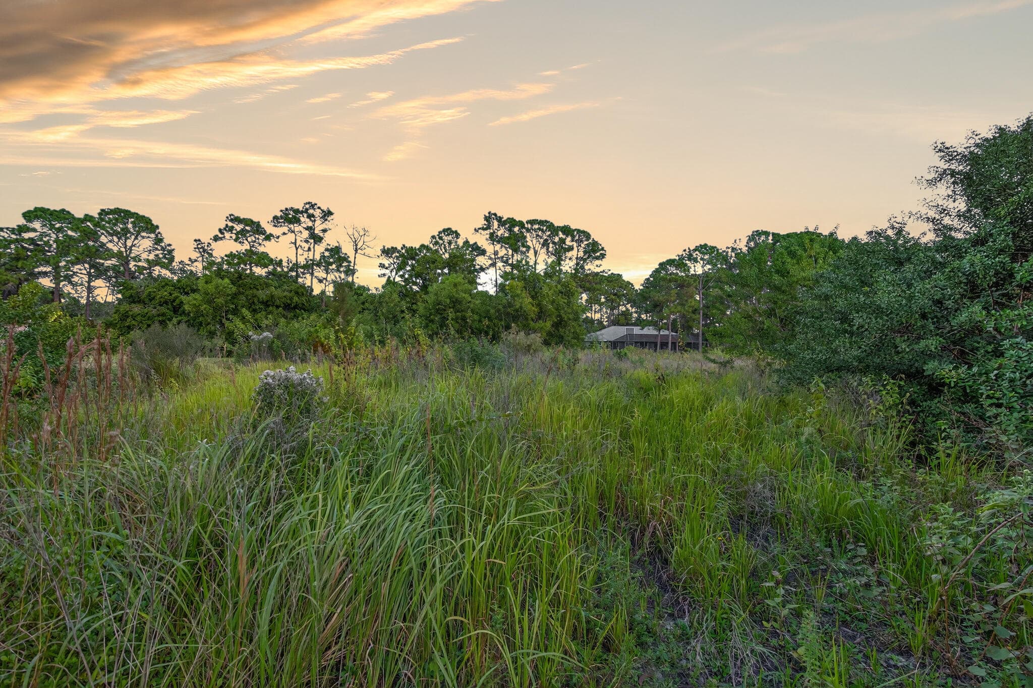 0 155th Place N, Jupiter Farms, FL 33478 — photo 15 of 15