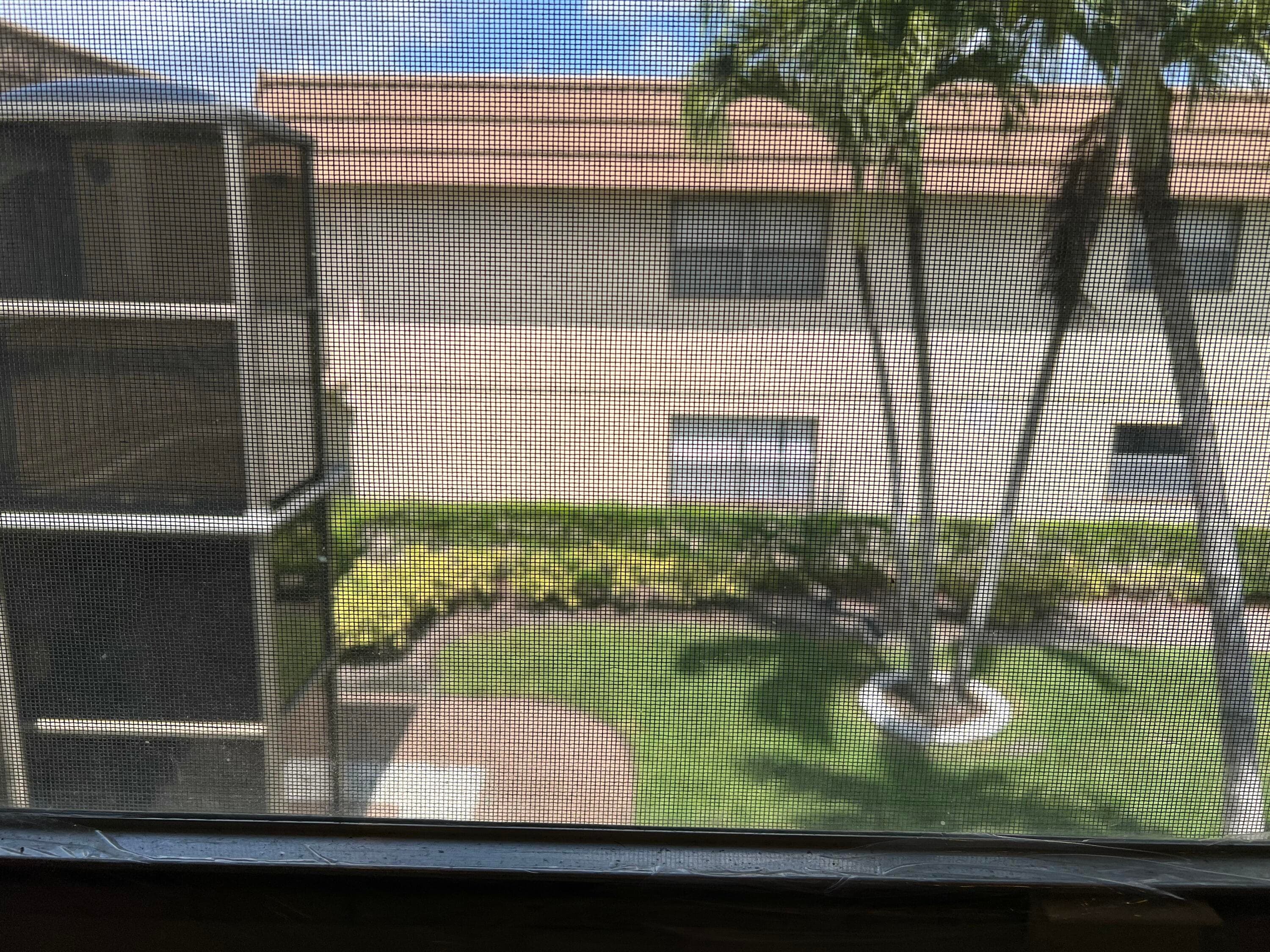 84 Saxony B, Delray Beach, FL 33446 — photo 26 of 34