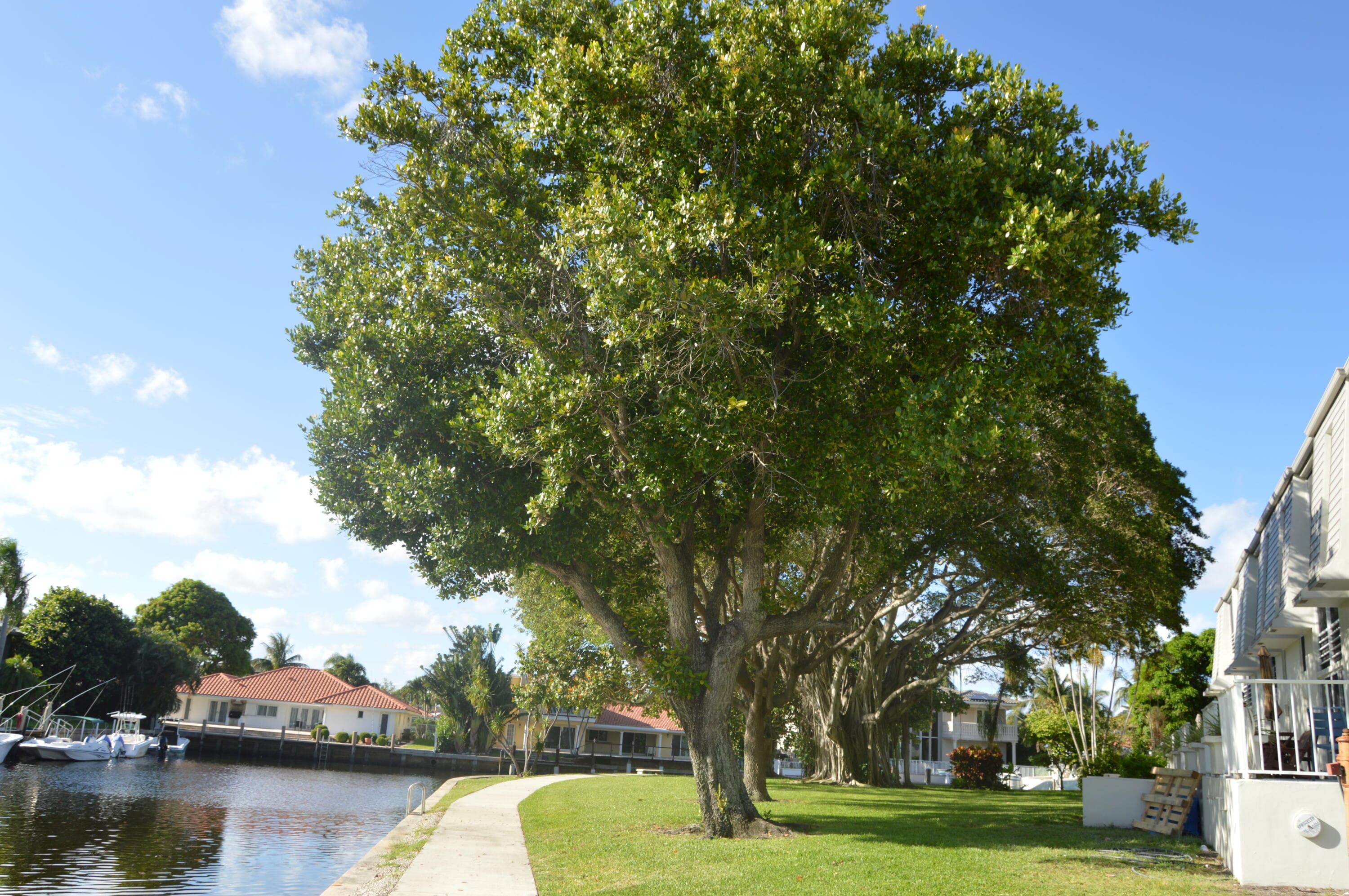 775 Jeffery Street 5-303, Boca Raton, FL 33487 — photo 30 of 33