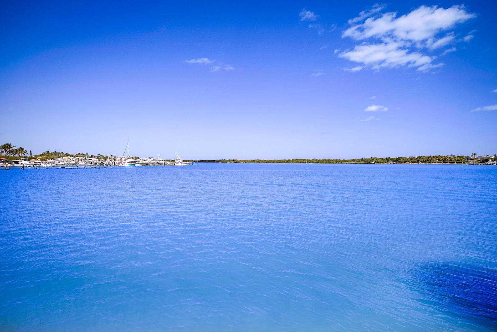300 Intracoastal Place 203, Jupiter, FL 33469 — photo 31 of 37