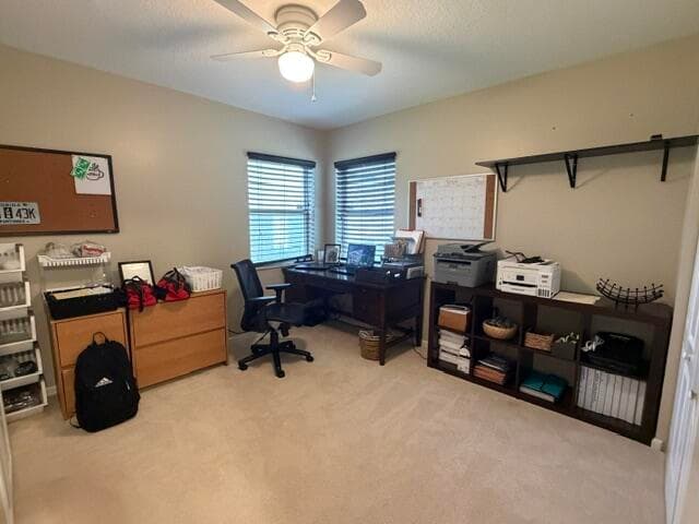 16304 Orange Boulevard, The Acreage, FL 33470 — photo 55 of 69