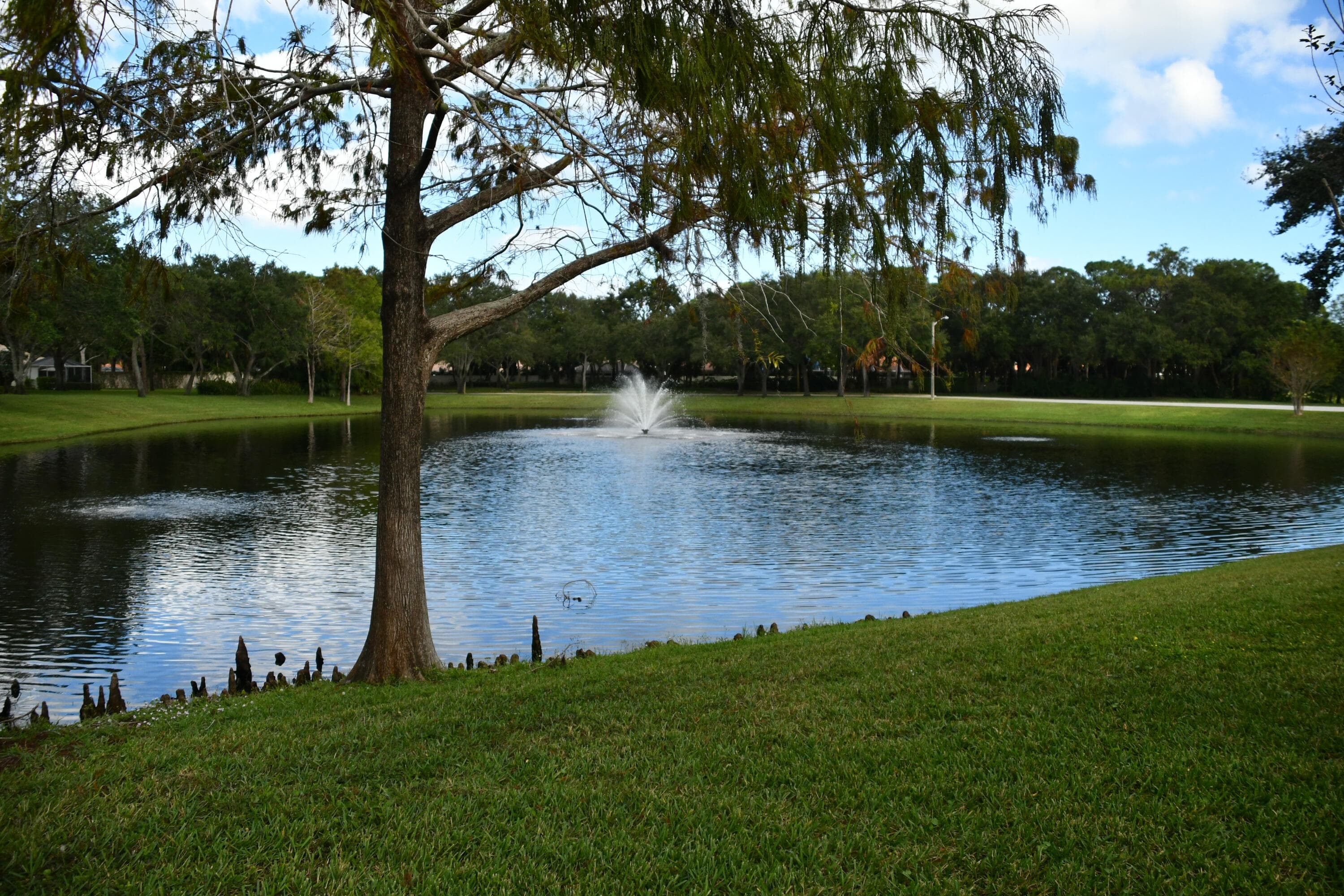 4204 Water Oak Court, Palm Beach Gardens, FL 33410 — photo 27 of 32