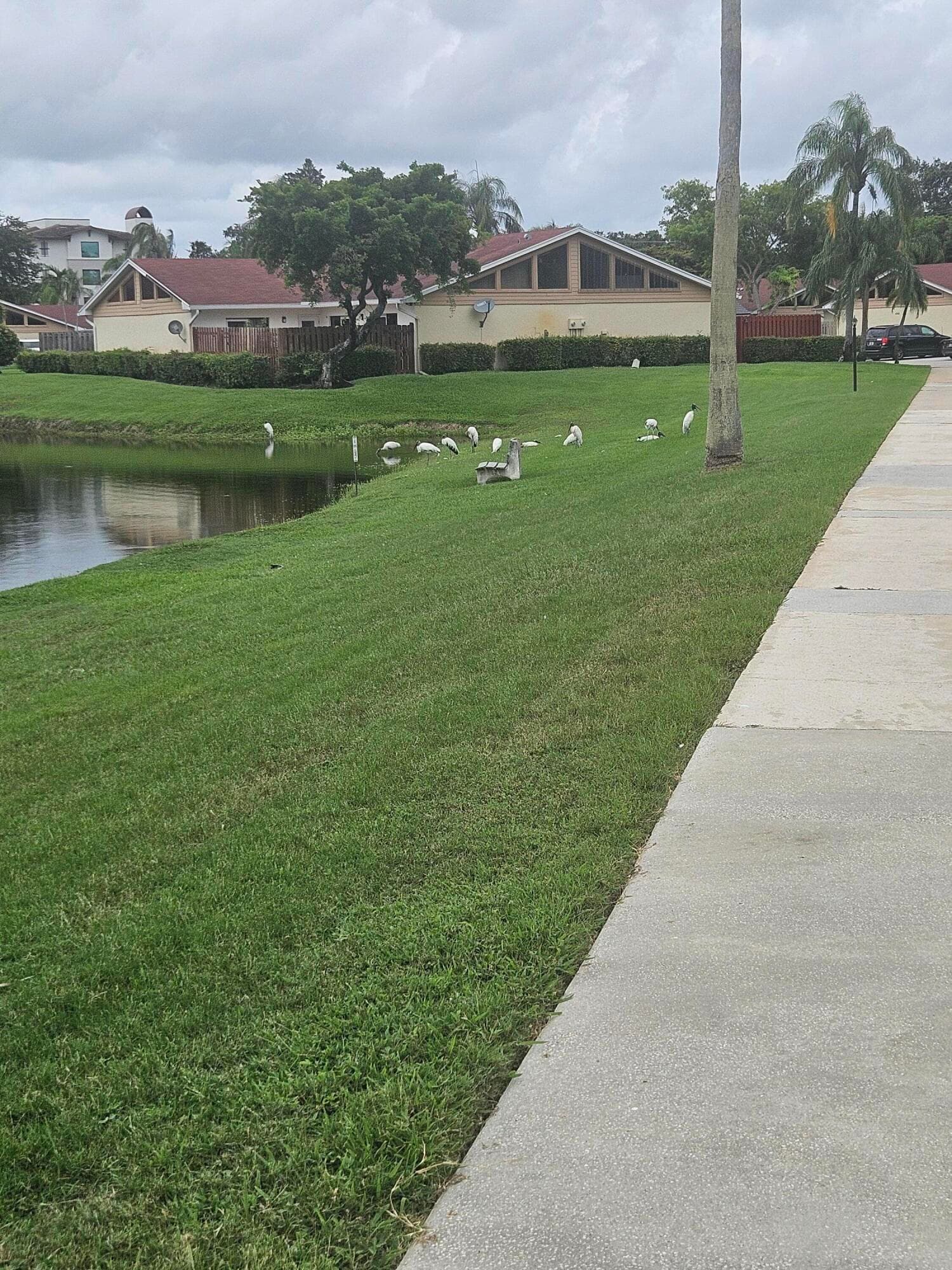 4302 Woodstock Drive B, West Palm Beach, FL 33409 — photo 25 of 26