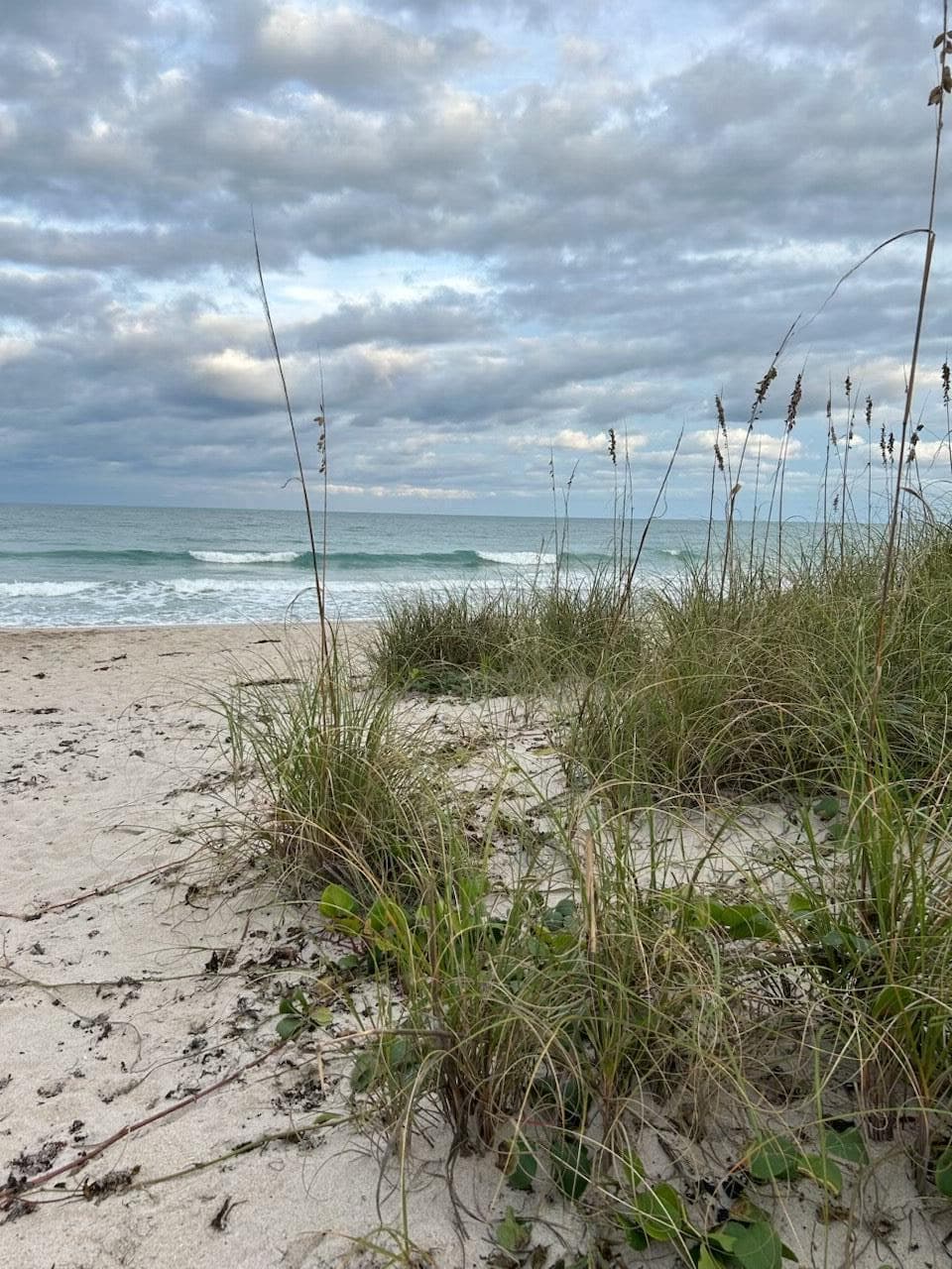 5047 N Highway A1a 1704, Hutchinson Island, FL 34949 — photo 51 of 54