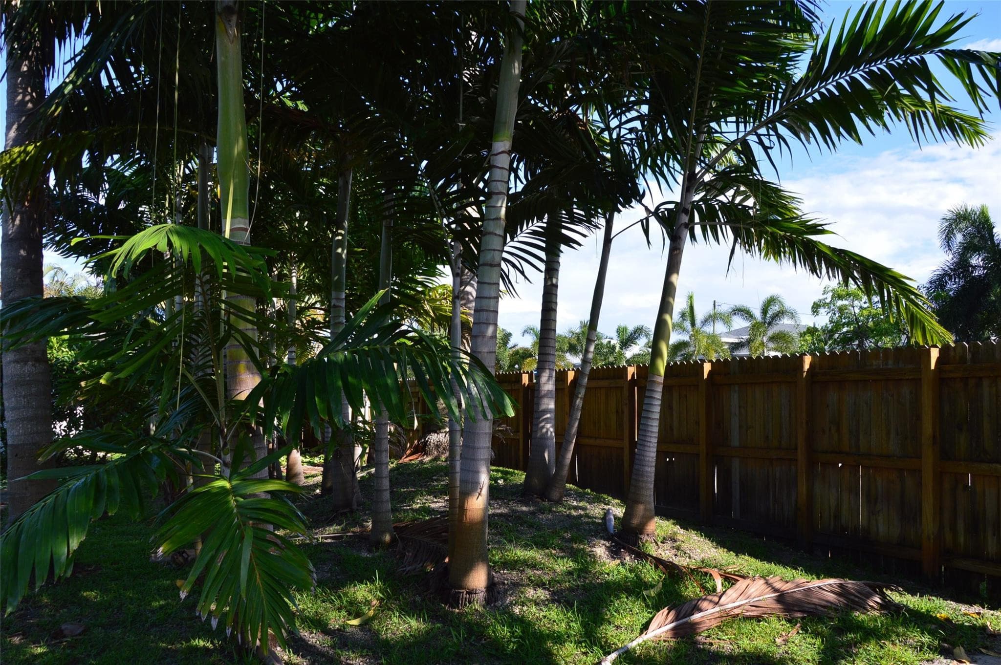 819 NE 14th Court B, Fort Lauderdale, FL 33304 — photo 9 of 9