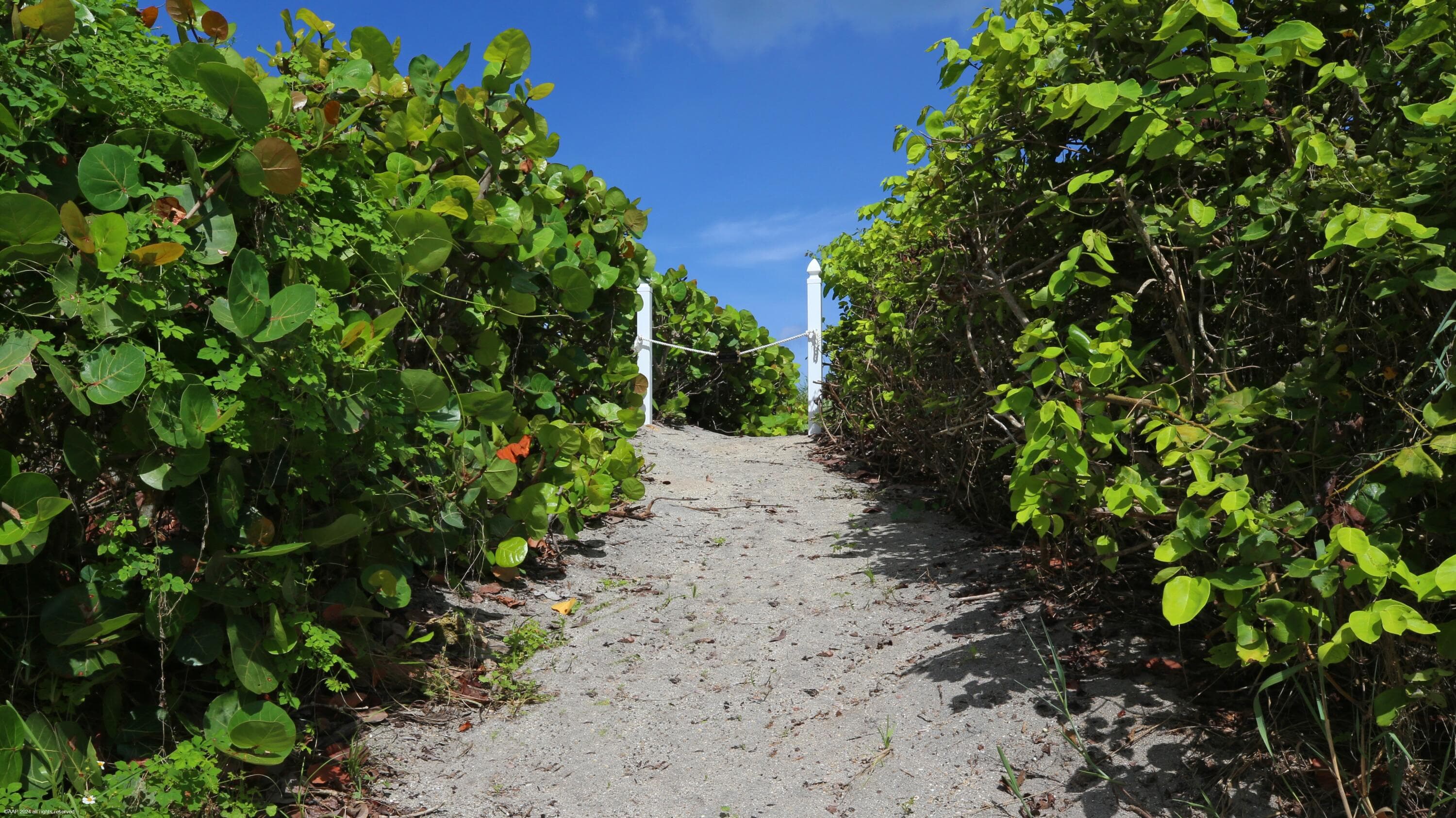 162 N Beach Road, Jupiter Island, FL 33455 — photo 66 of 73