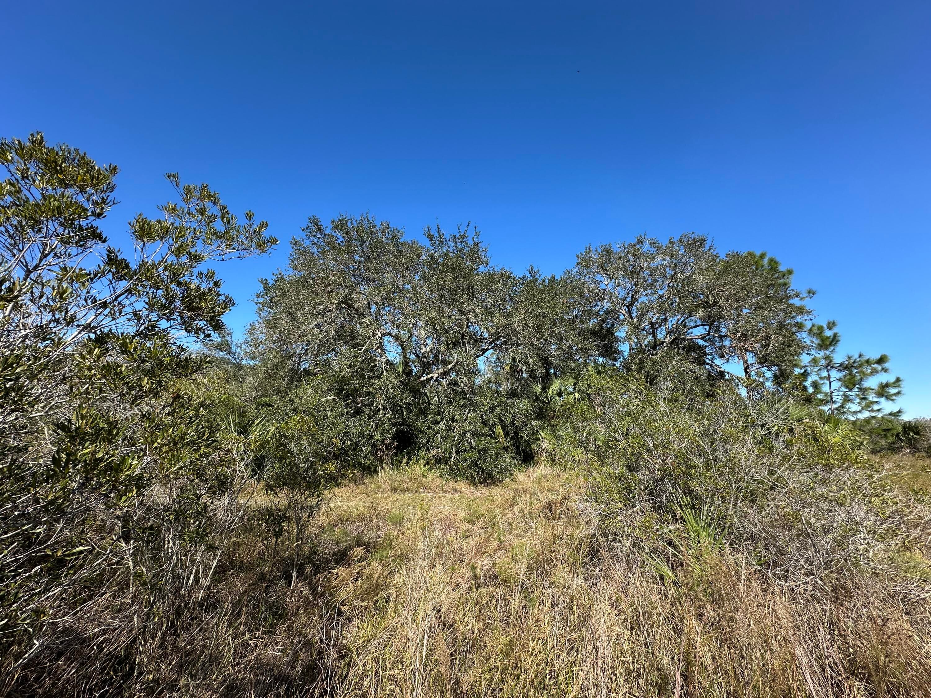 15415 NW 292nd Street, Okeechobee, FL 34972 — photo 2 of 7