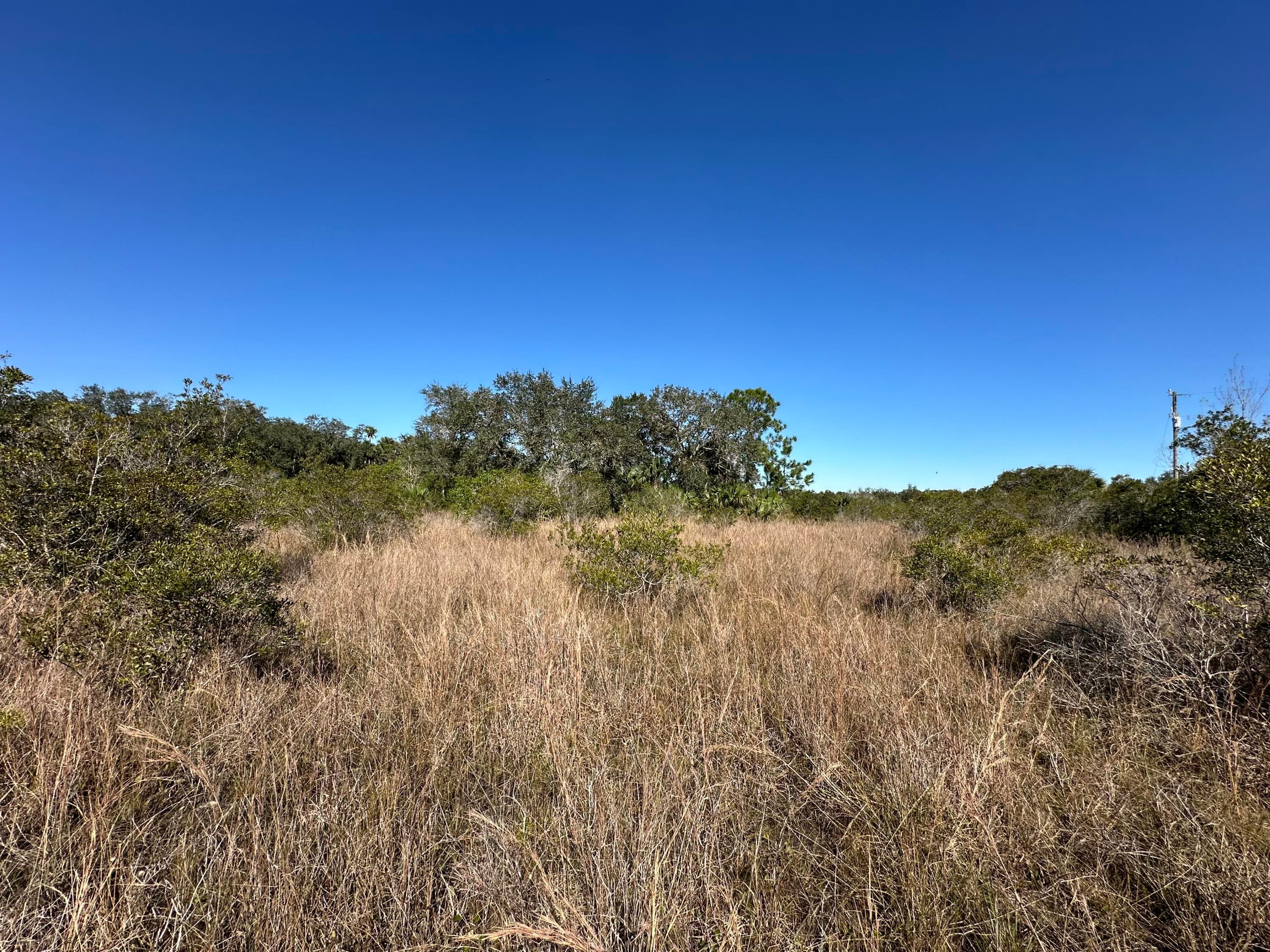 15415 NW 292nd Street, Okeechobee, FL 34972 — photo 4 of 7