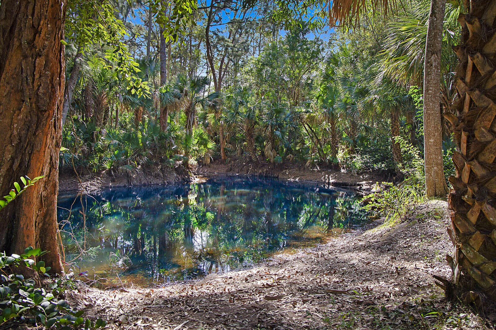 2454/2376 E Road, Loxahatchee Groves, FL 33470 — photo 44 of 53