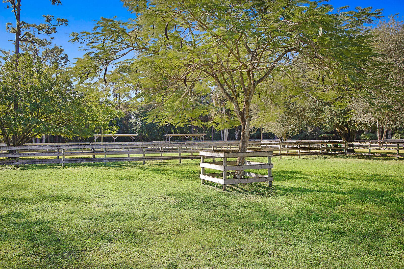 2454/2376 E Road, Loxahatchee Groves, FL 33470 — photo 36 of 53