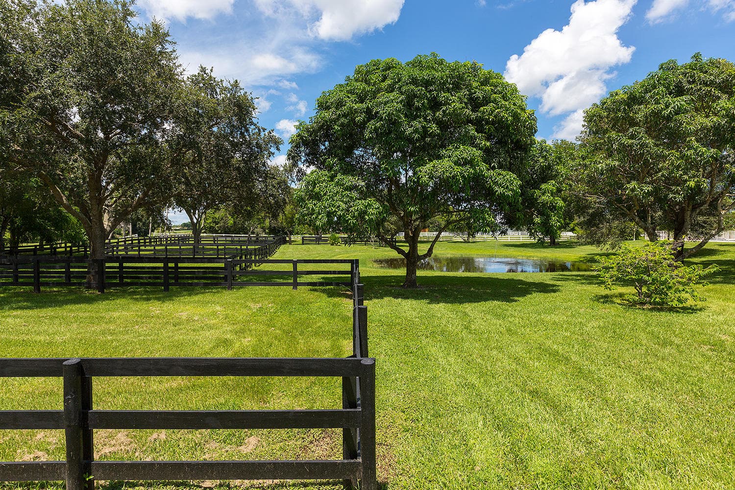 2088 Appaloosa Trail, Wellington, FL 33414 — photo 28 of 34