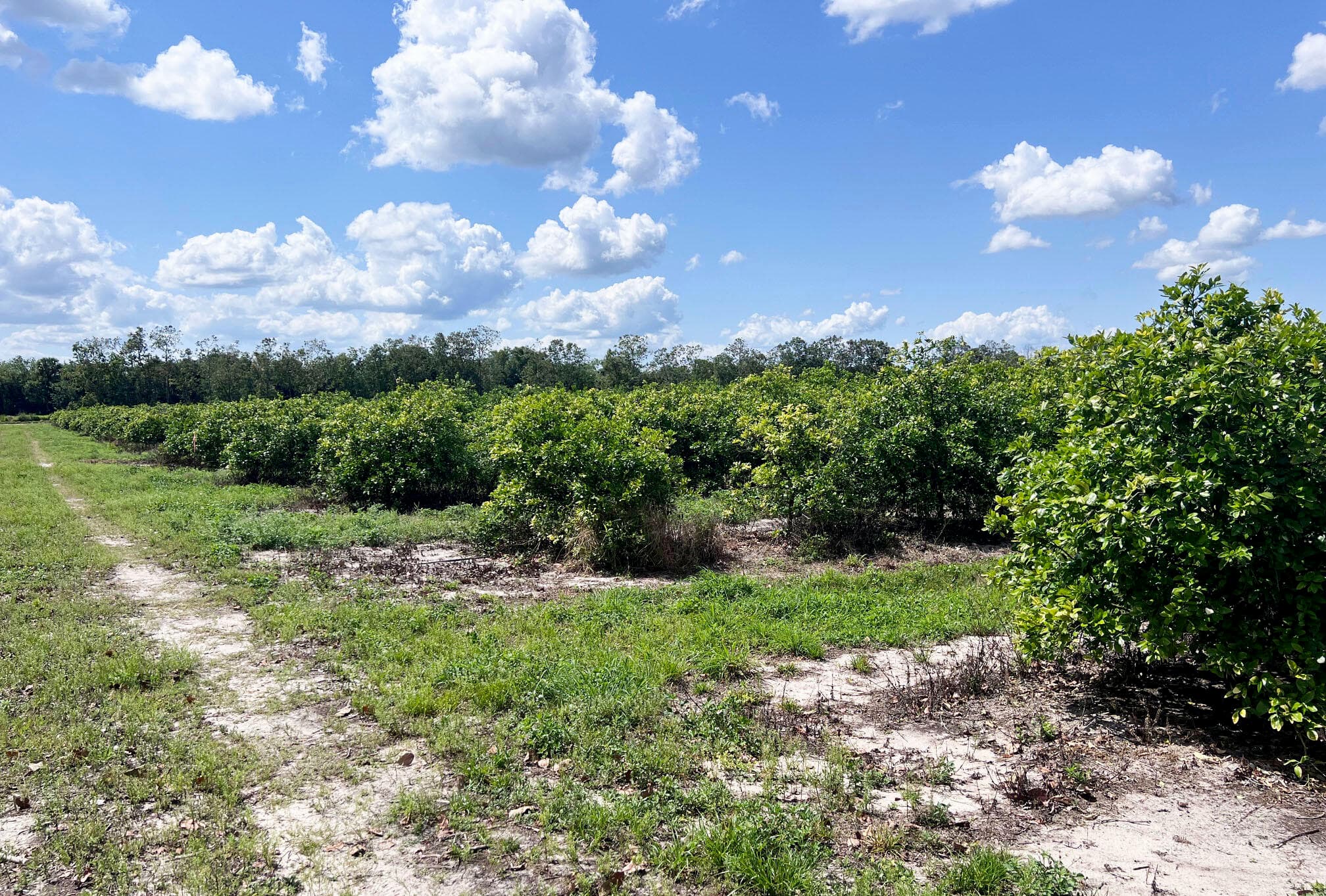 Tbd Orange Avenue Extension, Fort Pierce, FL 34945 — photo 3 of 6