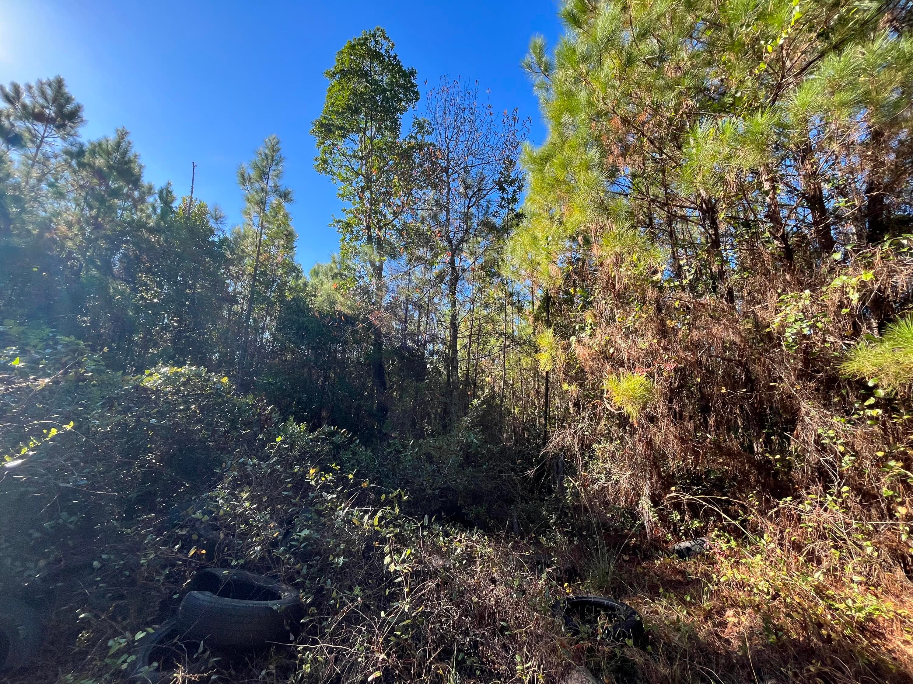 223 Mourning Dove Road, Satsuma, FL 32189 — photo