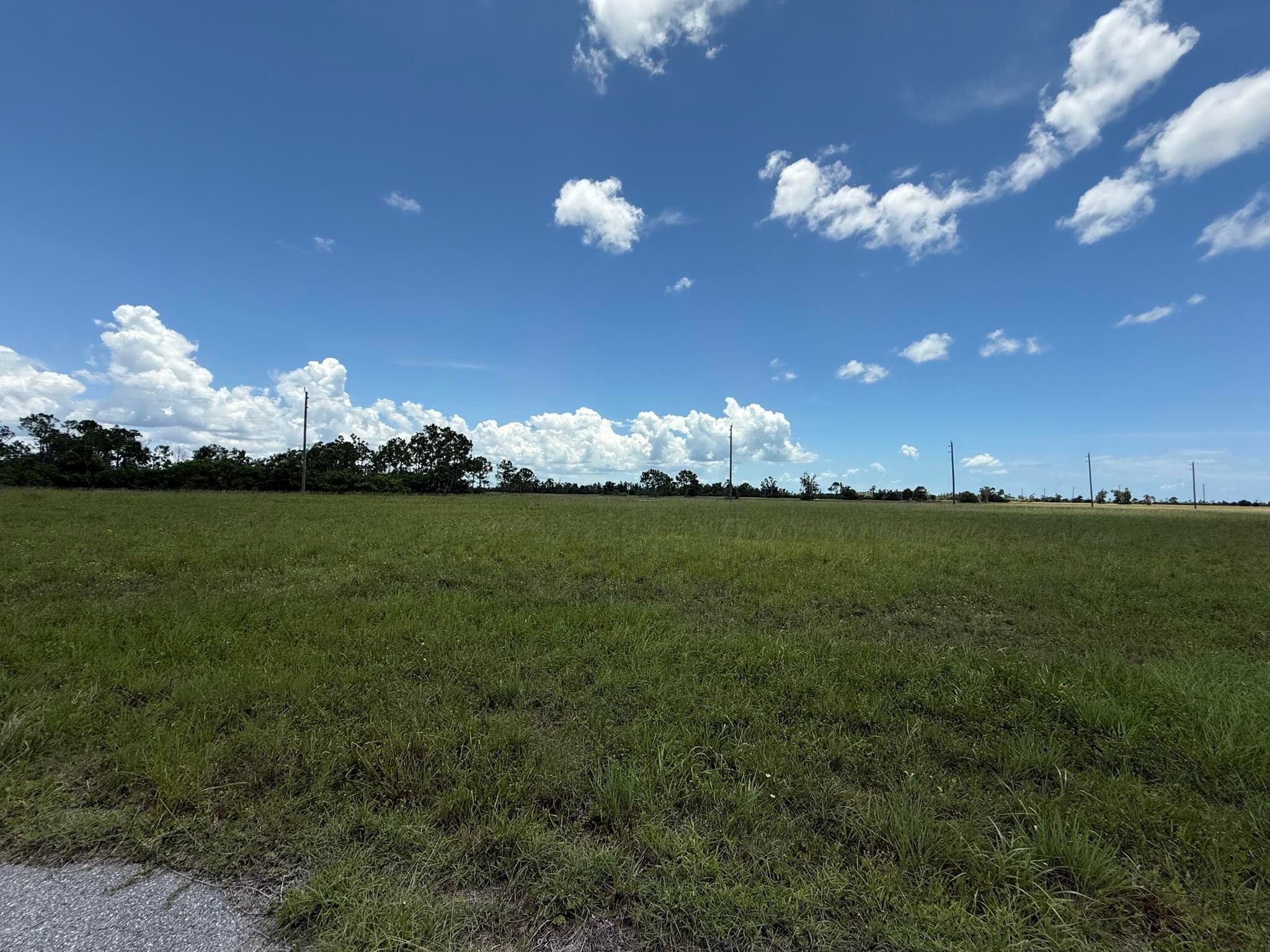 12439 Greenling Way, Placida, FL 33946 — photo 4 of 12