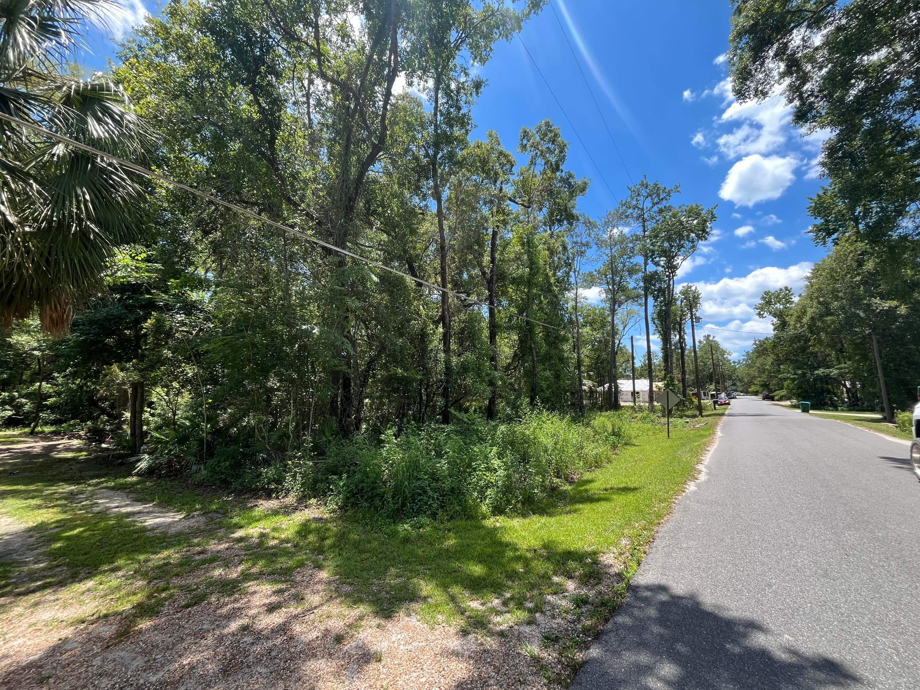 Tbd Franklin Drive, Crawfordville, FL 32327 — photo 7 of 10