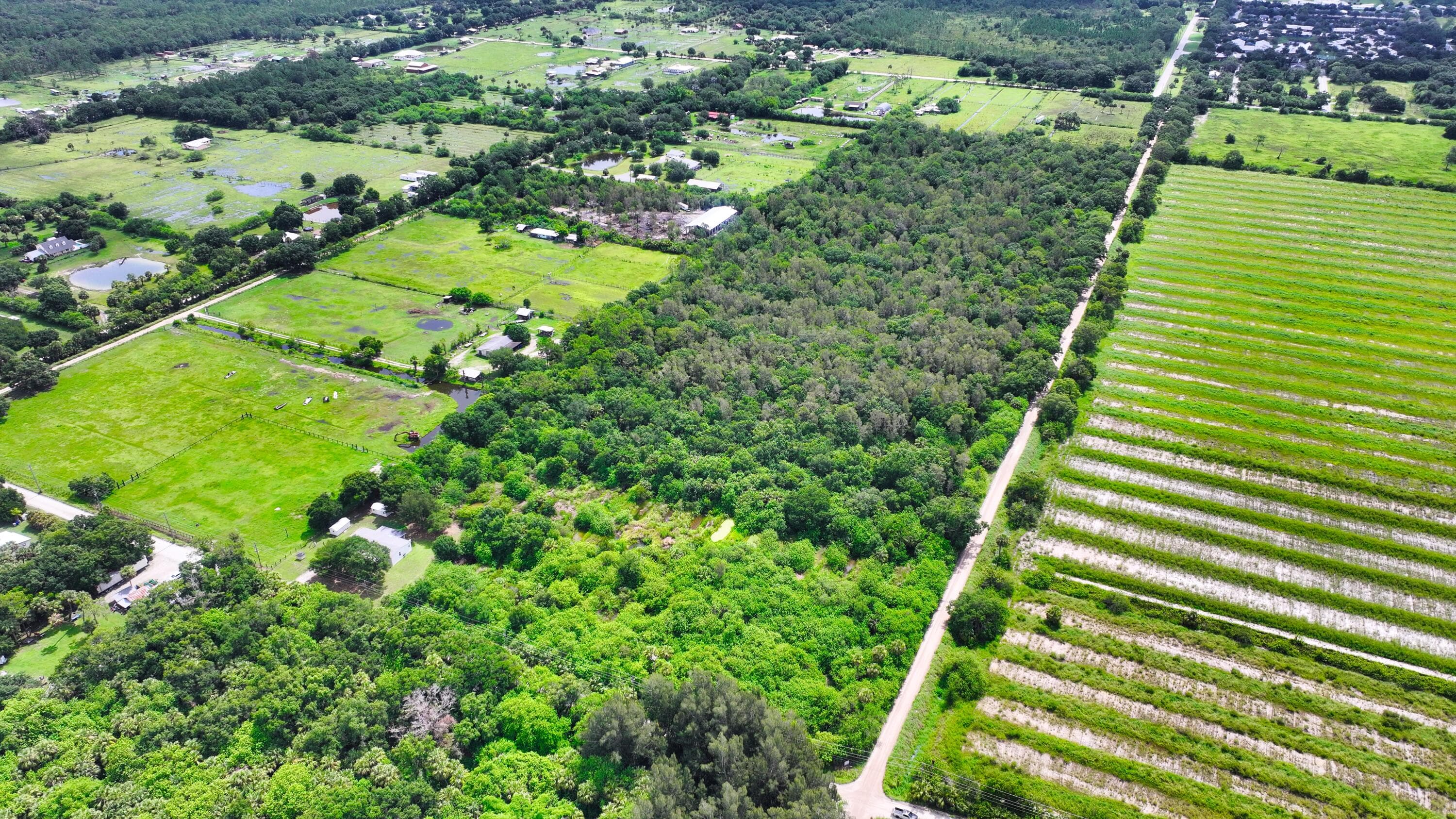13380 101st Street, Fellsmere, FL 32948 — photo