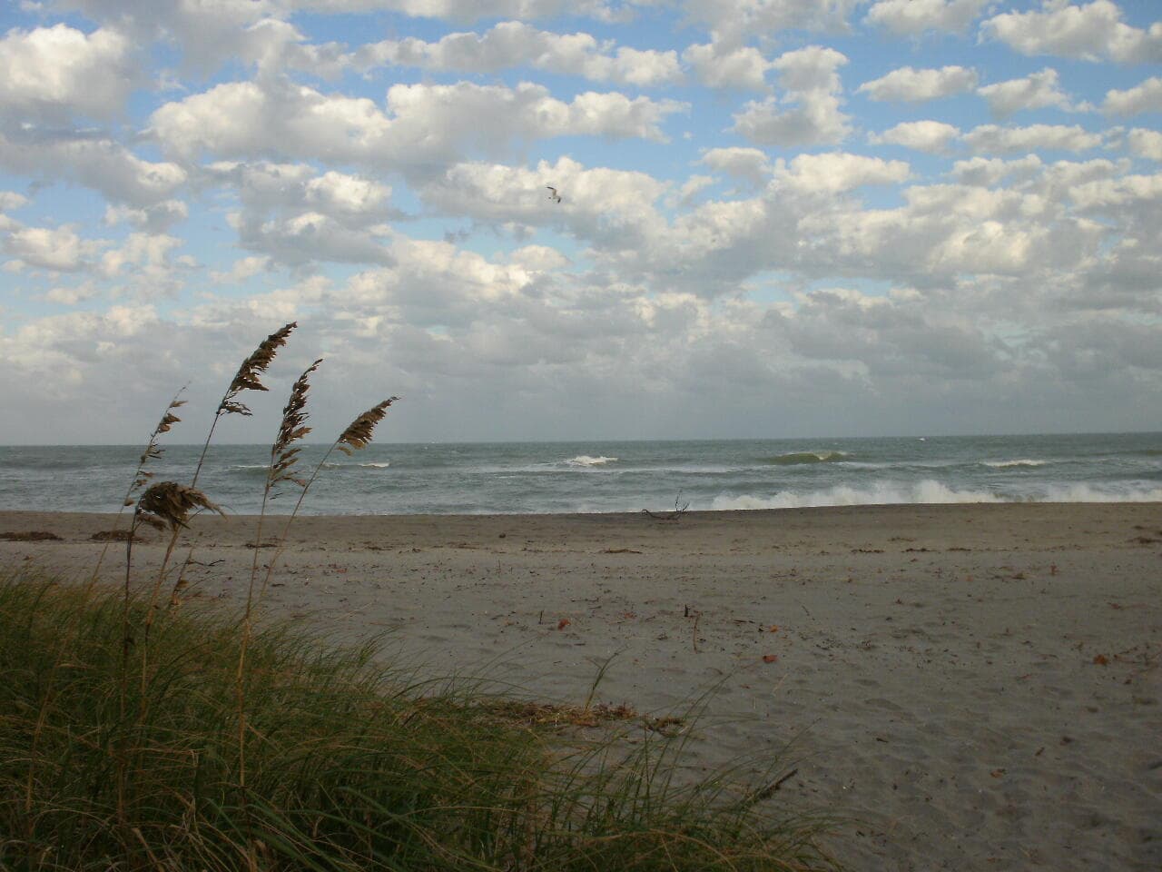 601 Seafarer Circle 101, Jupiter, FL 33477 — photo 29 of 32