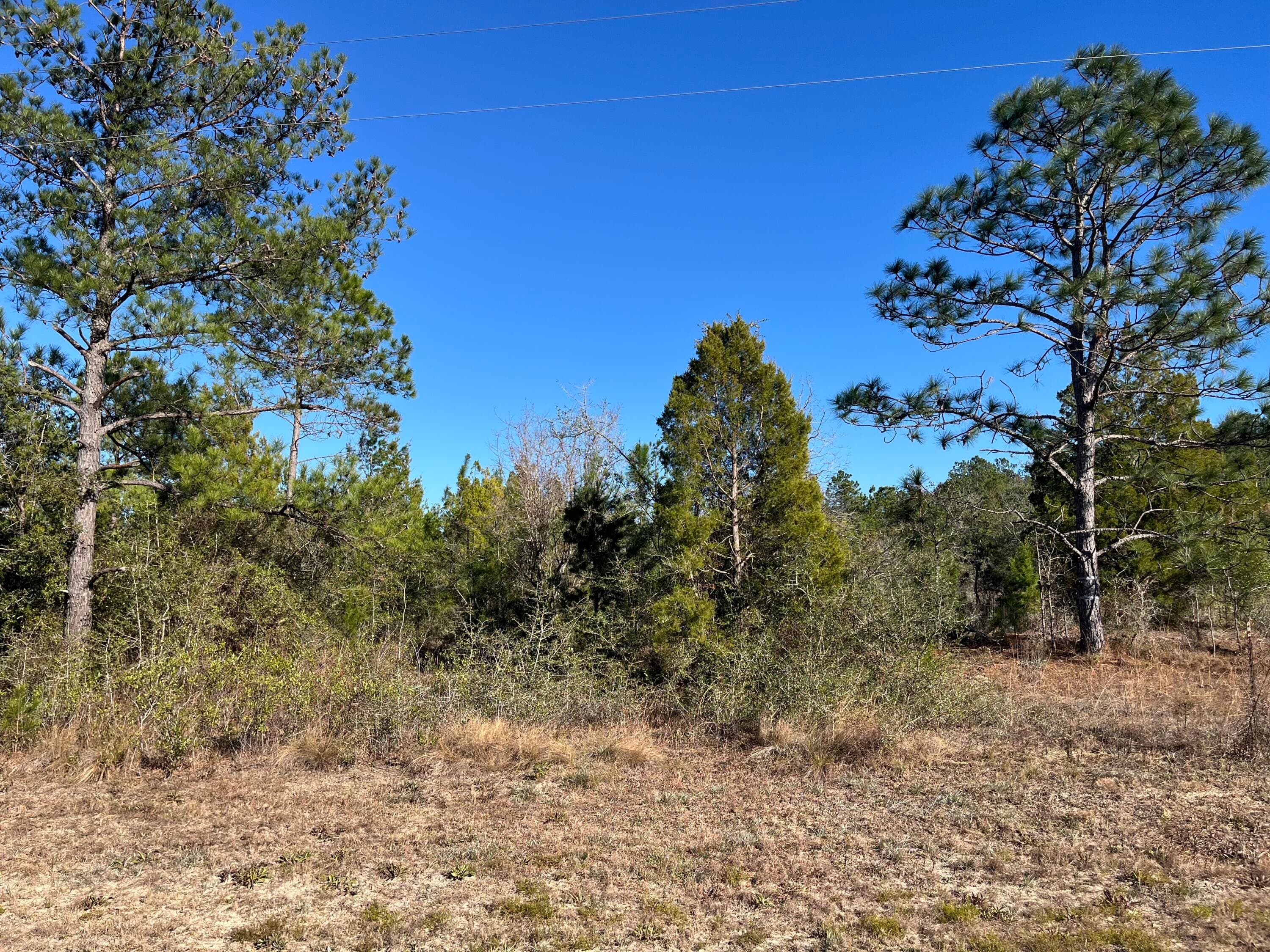 Tbd Fairview Road, Marianna, FL 32448 — photo