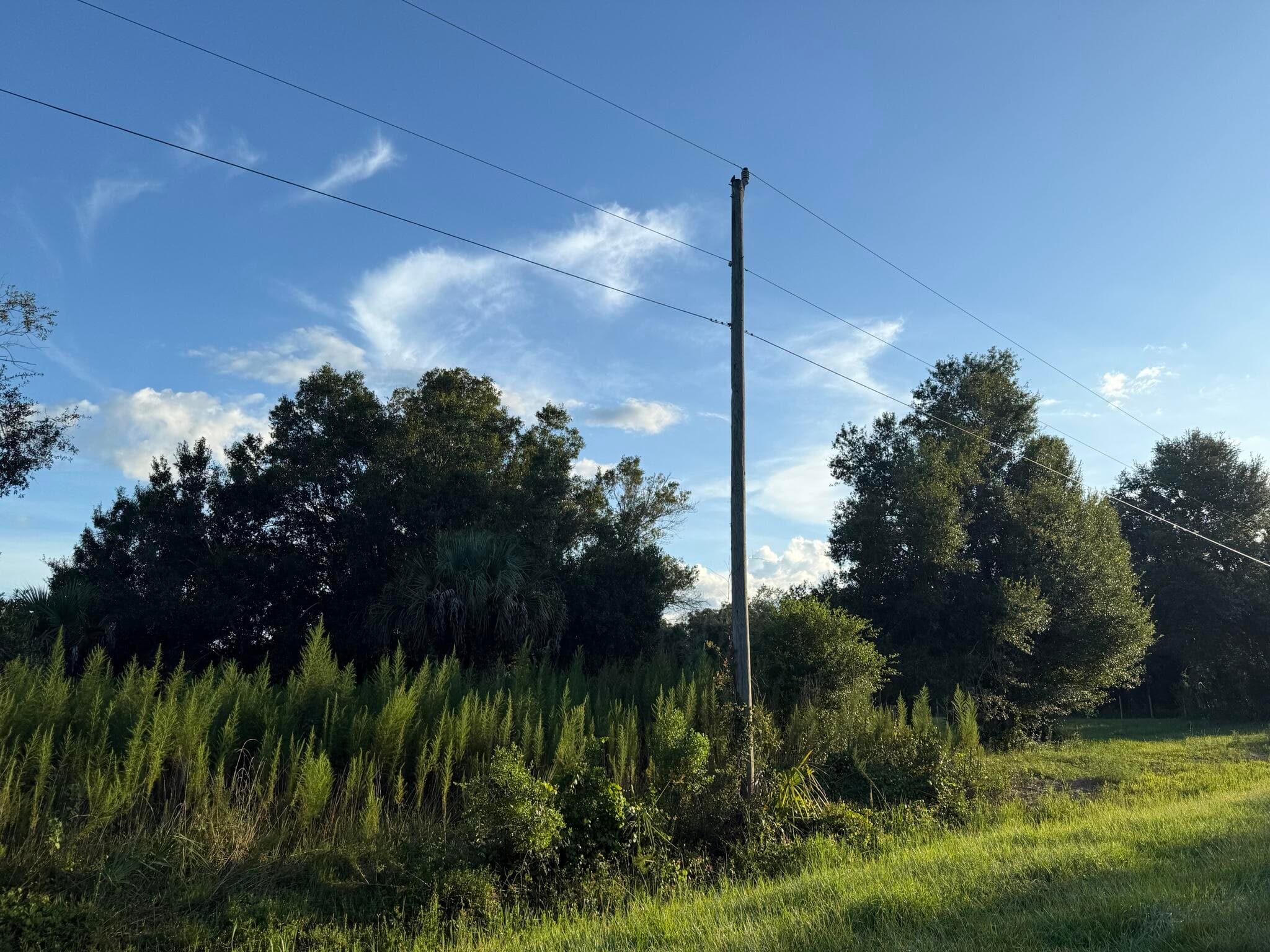 19426 NW 270th Street, Okeechobee, FL 34972 — photo 2 of 14
