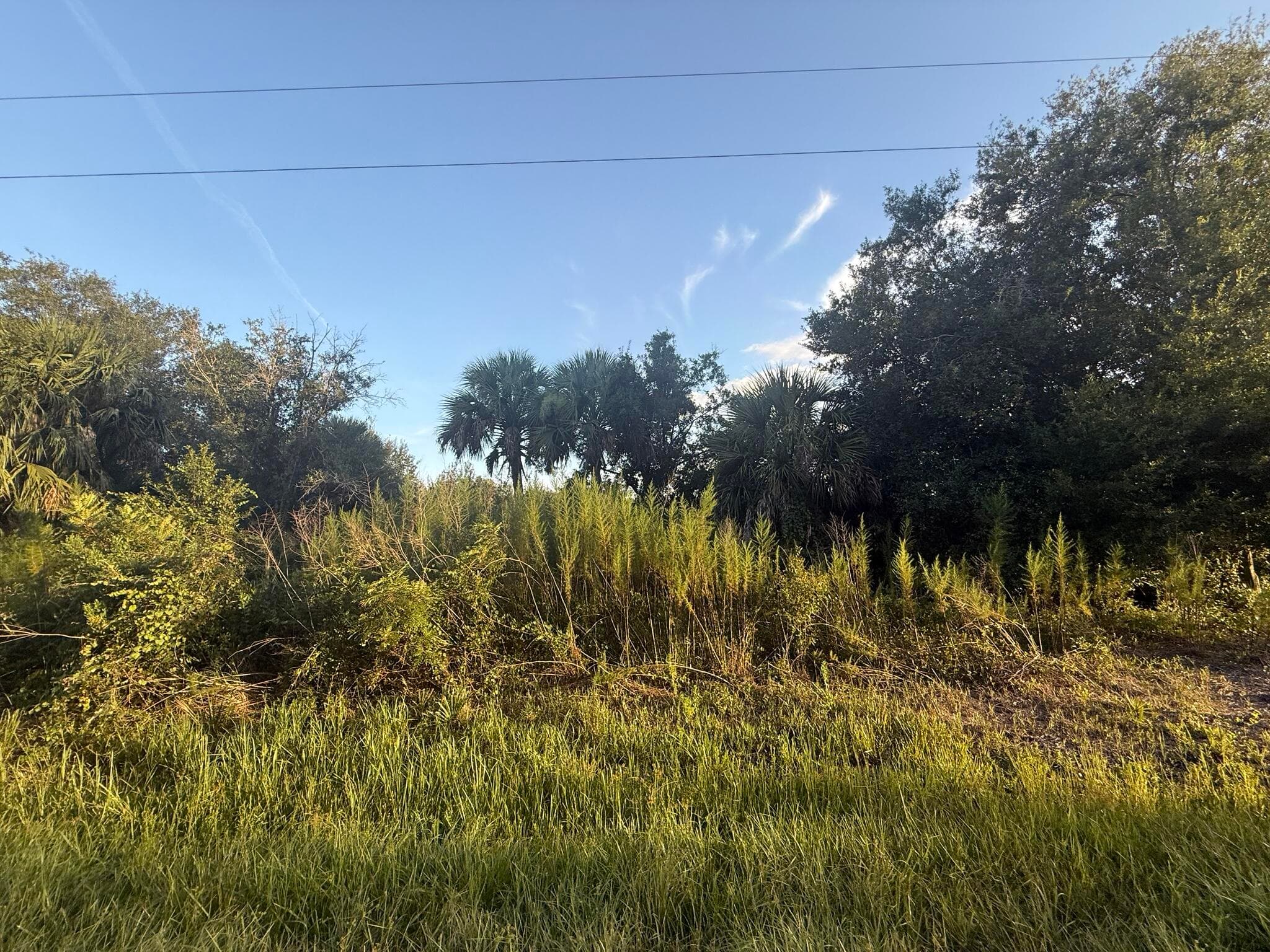 19426 NW 270th Street, Okeechobee, FL 34972 — photo 5 of 14
