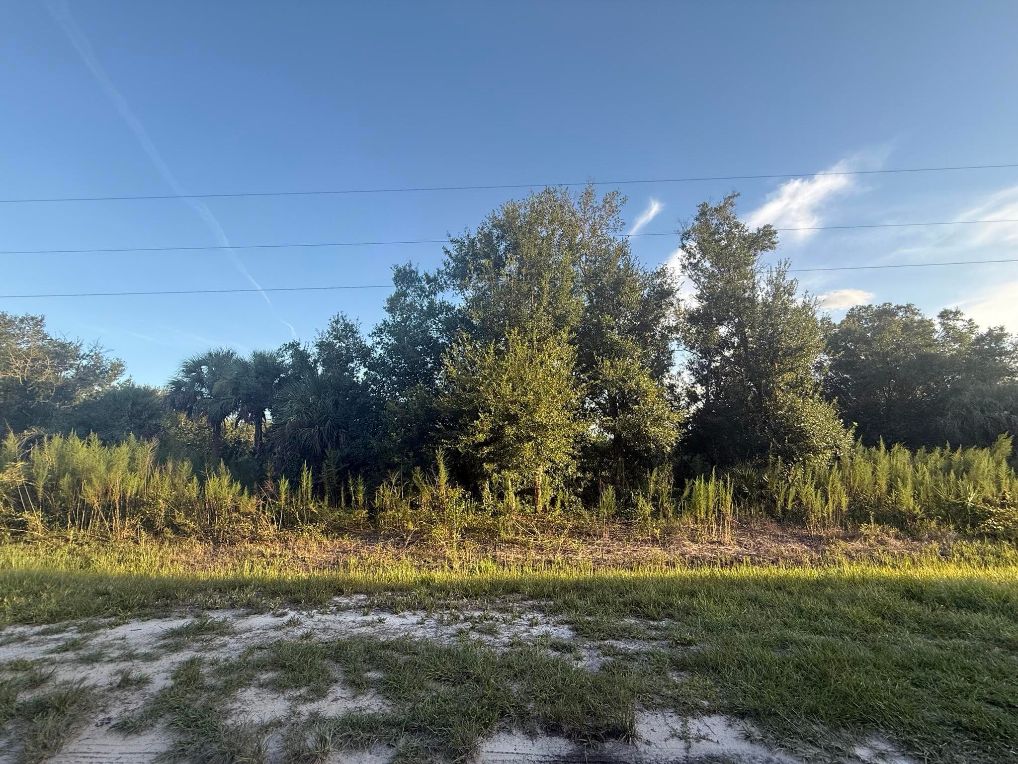 19426 NW 270th Street, Okeechobee, FL 34972 — photo 9 of 14