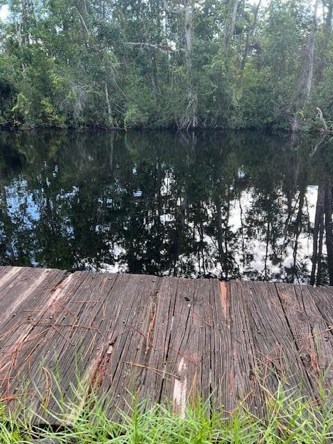 1135 Greenfield Street, Lake Placid, FL 33852 — photo 4 of 17