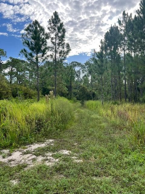1135 Greenfield Street, Lake Placid, FL 33852 — photo 13 of 17