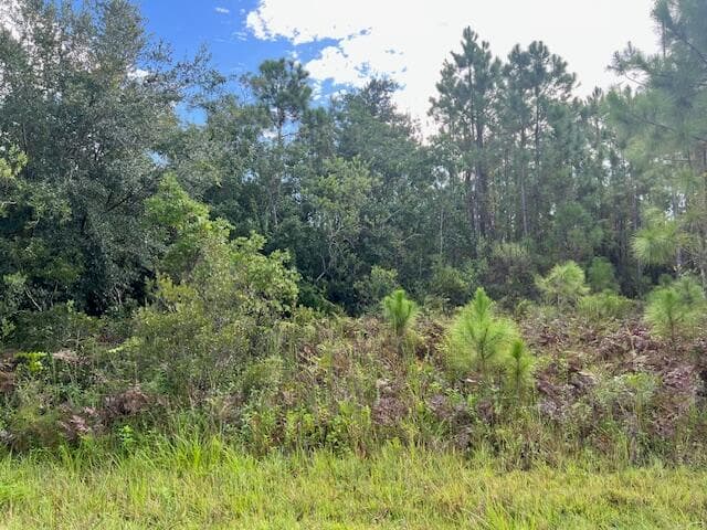 1131 Greenfield Street, Lake Placid, FL 33852 — photo 8 of 13