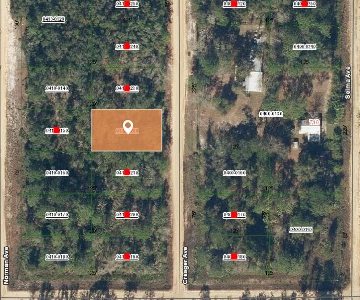 003 Creager Avenue, Interlachen, FL 32148 — photo 2 of 3