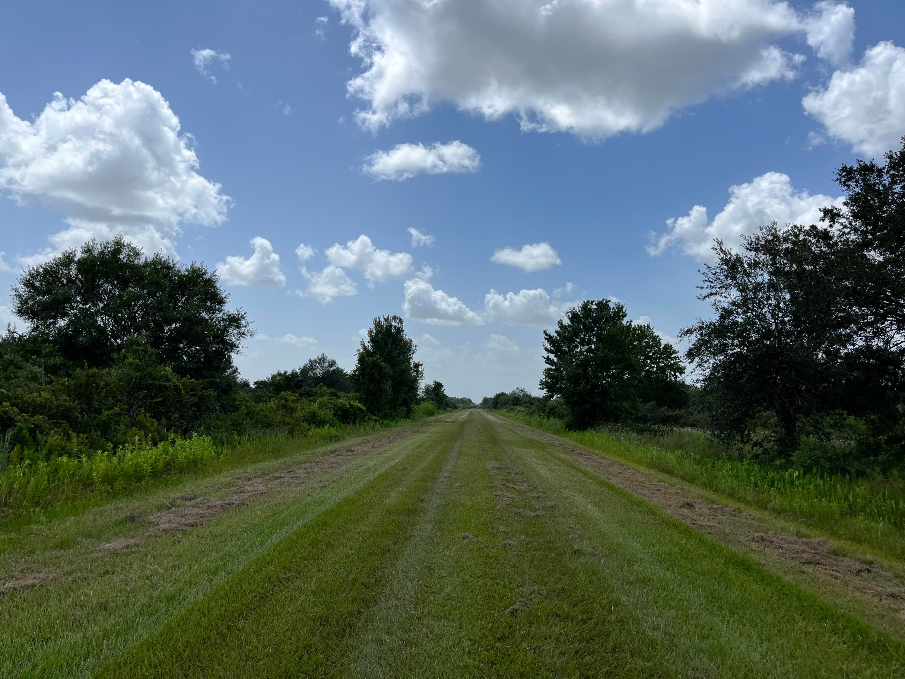 17915 NW 290th Street, Okeechobee, FL 34972 — photo 10 of 16