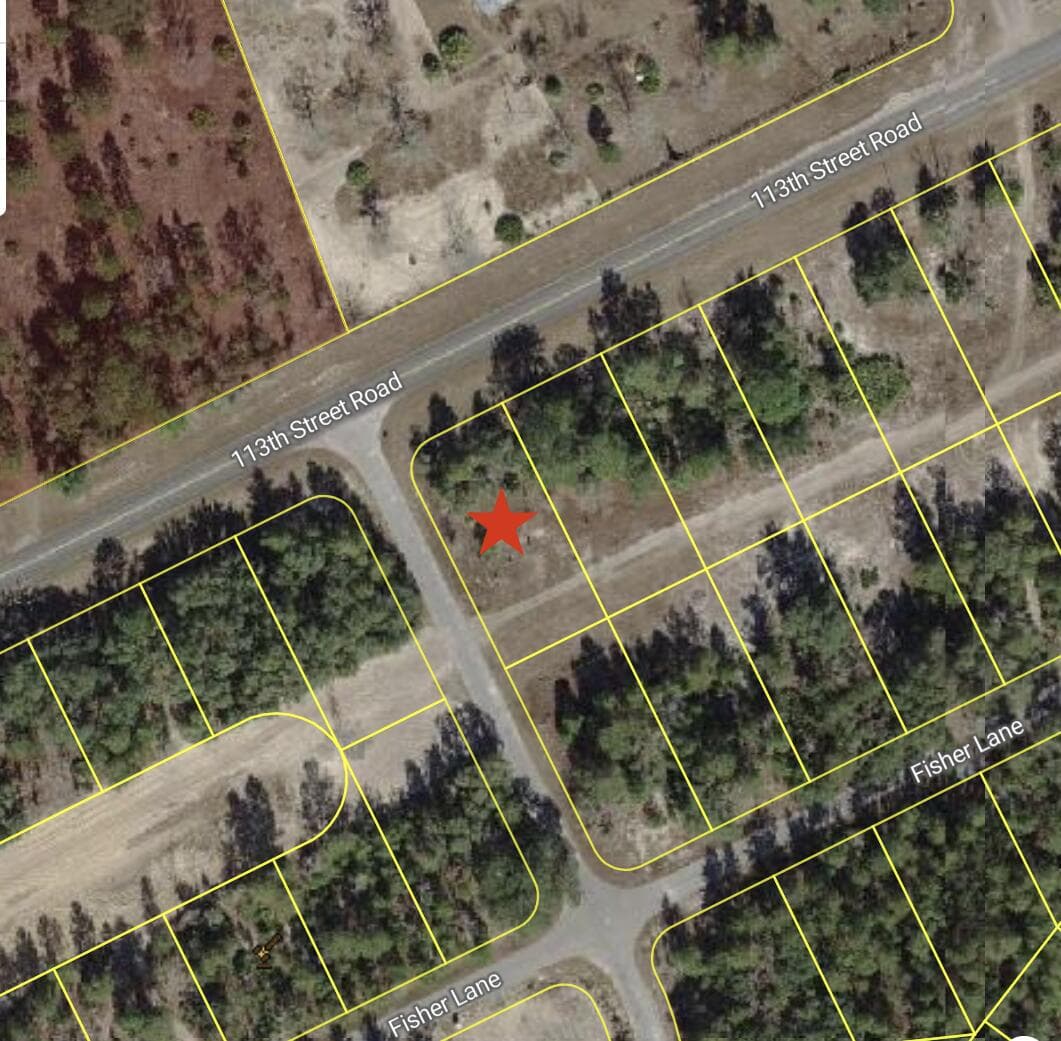 0 Tbd 113th Street Lot 1 Road, Ocklawaha, FL 32179 — photo