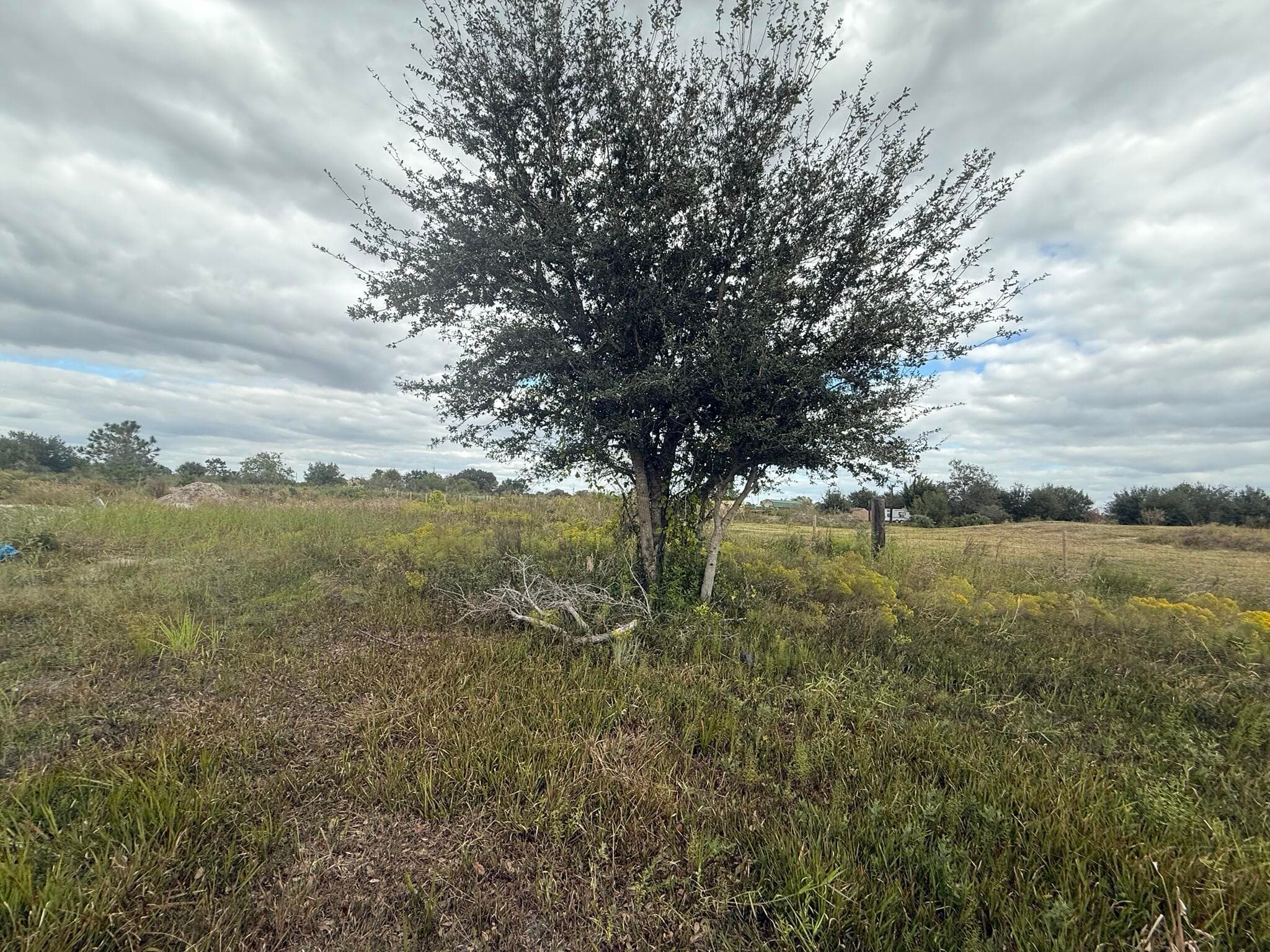 18677 NW 270th Street, Okeechobee, FL 34972 — photo 1 of 22