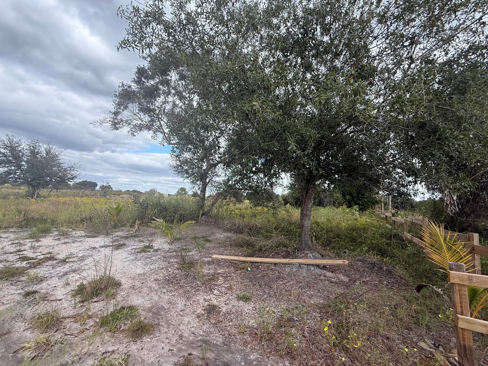 18677 NW 270th Street, Okeechobee, FL 34972 — photo 11 of 22