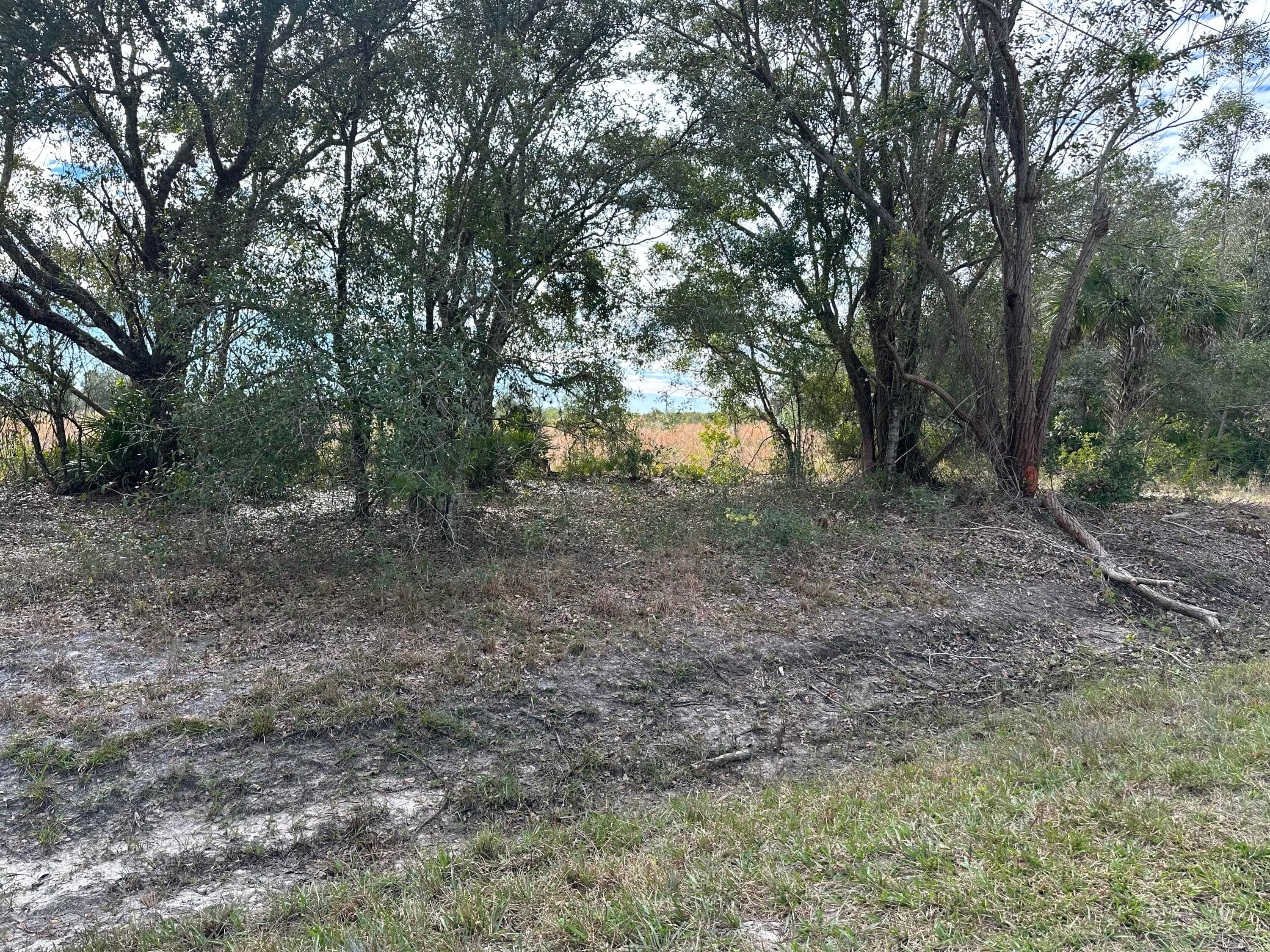 15322 NW 252nd Street, Okeechobee, FL 34972 — photo 3 of 5