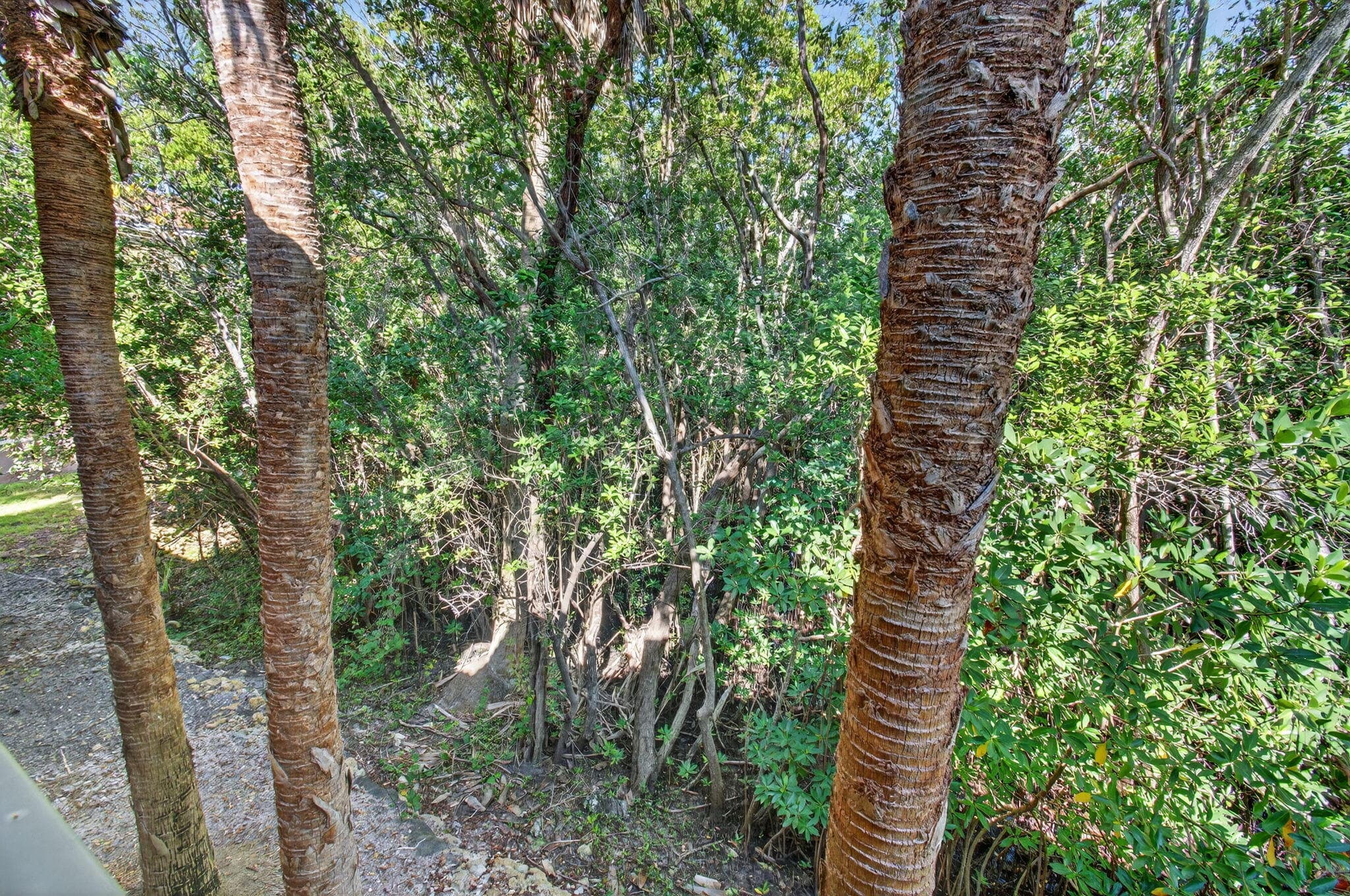 1100 Scotia Drive 104, Hypoluxo, FL 33462 — photo 23 of 51